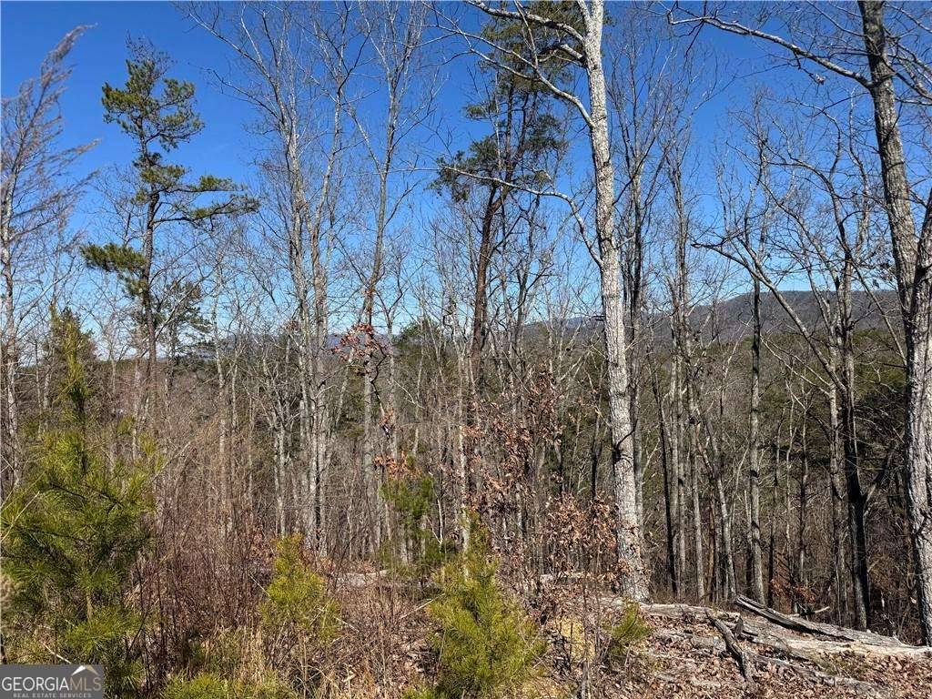 Chatsworth, GA 30705,0 Muscadine LN