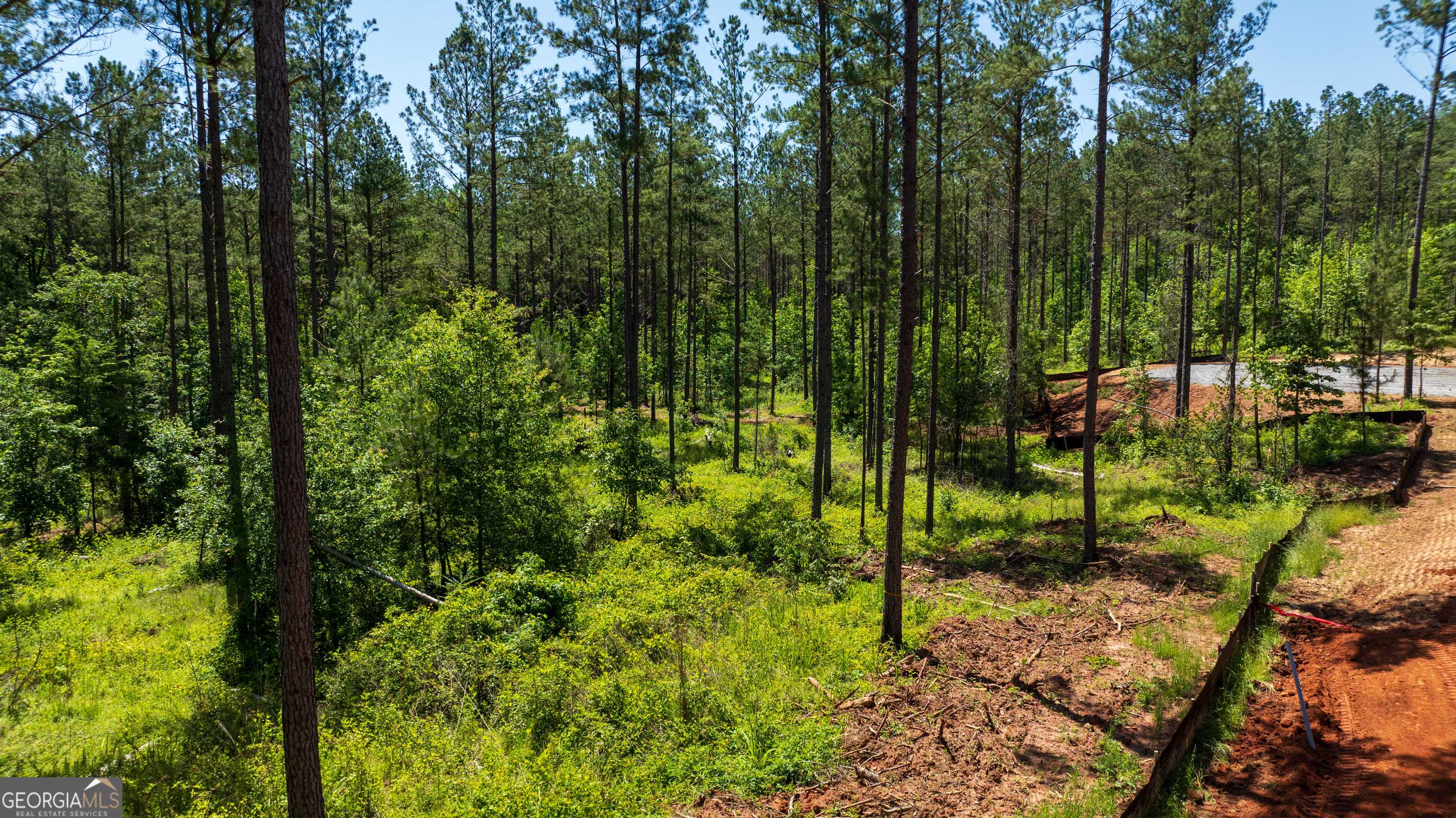 Newnan, GA 30263,LOT 16 Indigo Trail