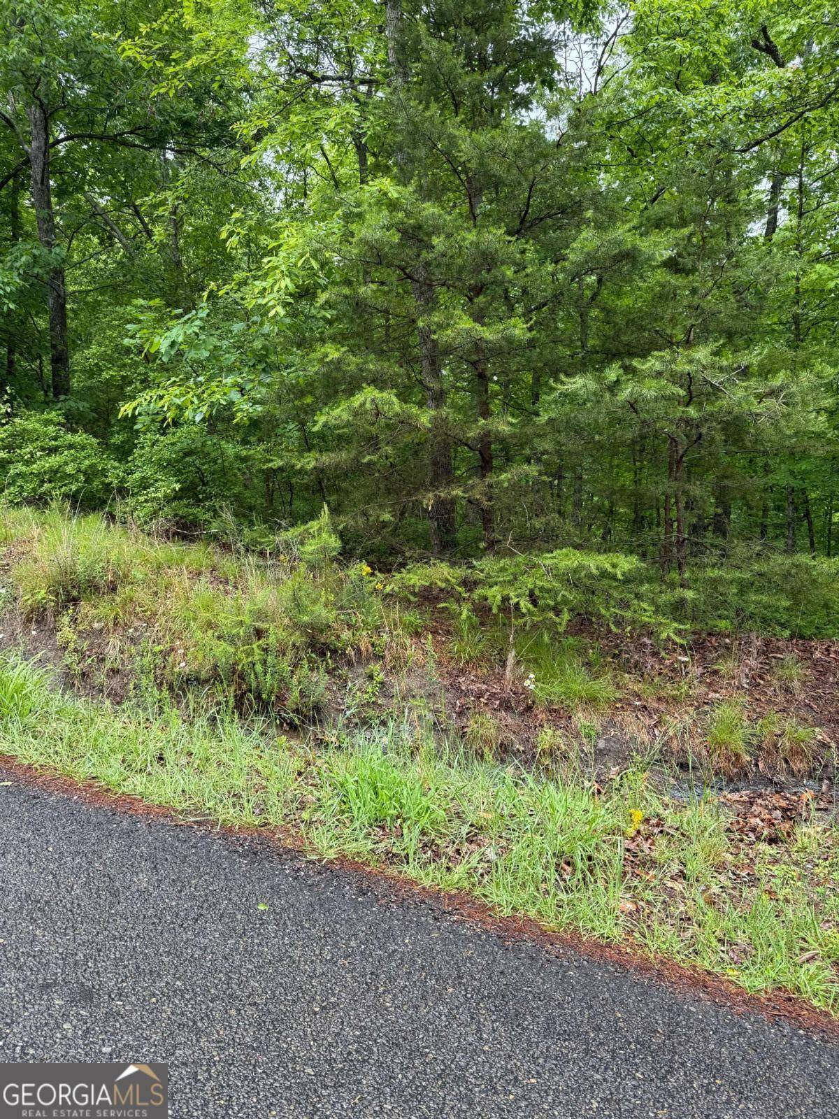 Ranger, GA 30734,1275 Foxhound TRL NE