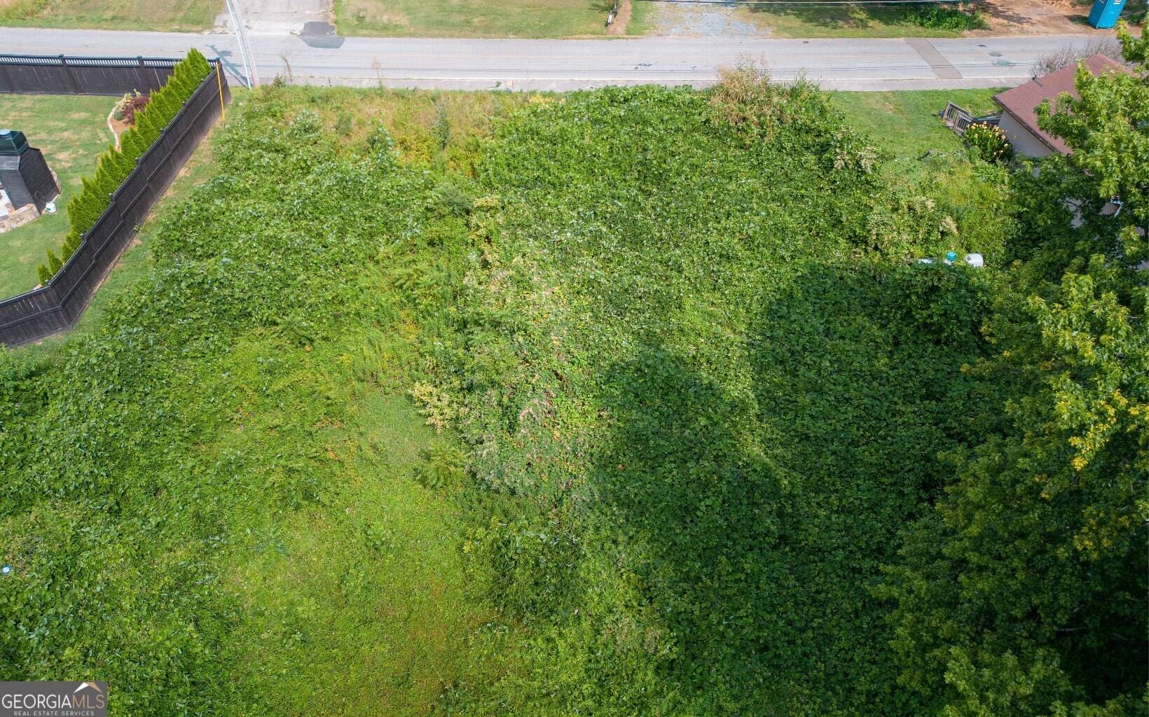 Blue Ridge, GA 30513,.38AC E Second ST