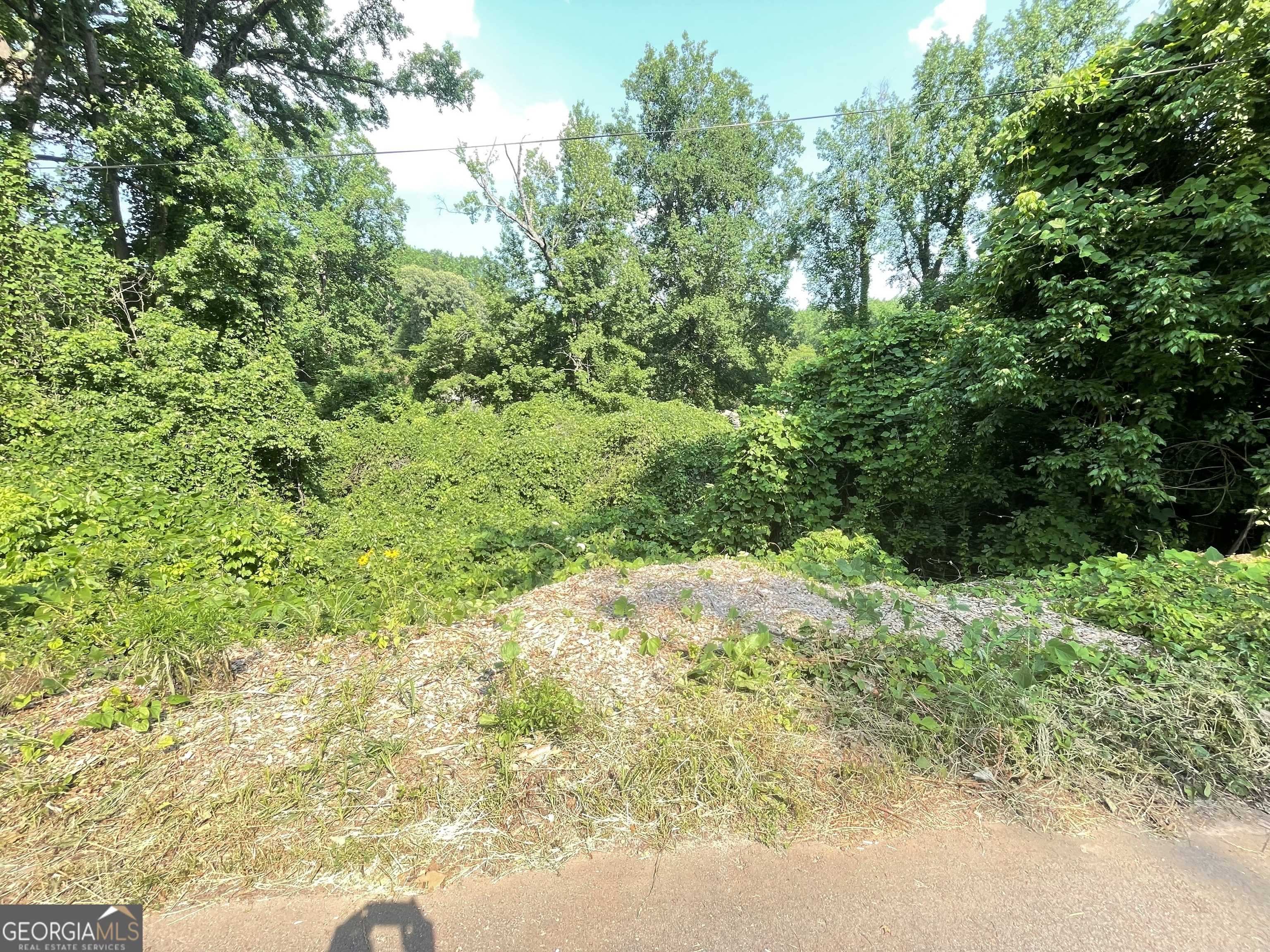 Atlanta, GA 30316,1247 Beechview DR SE