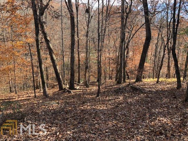 Cleveland, GA 30528,0 Forked Leaf RD #35