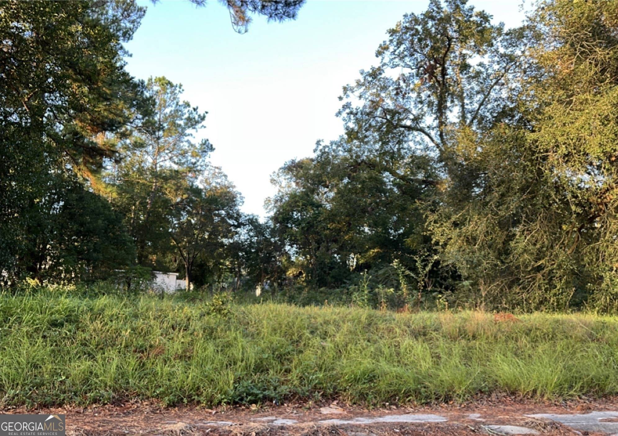 Waycross, GA 31501,301 Riverside DR