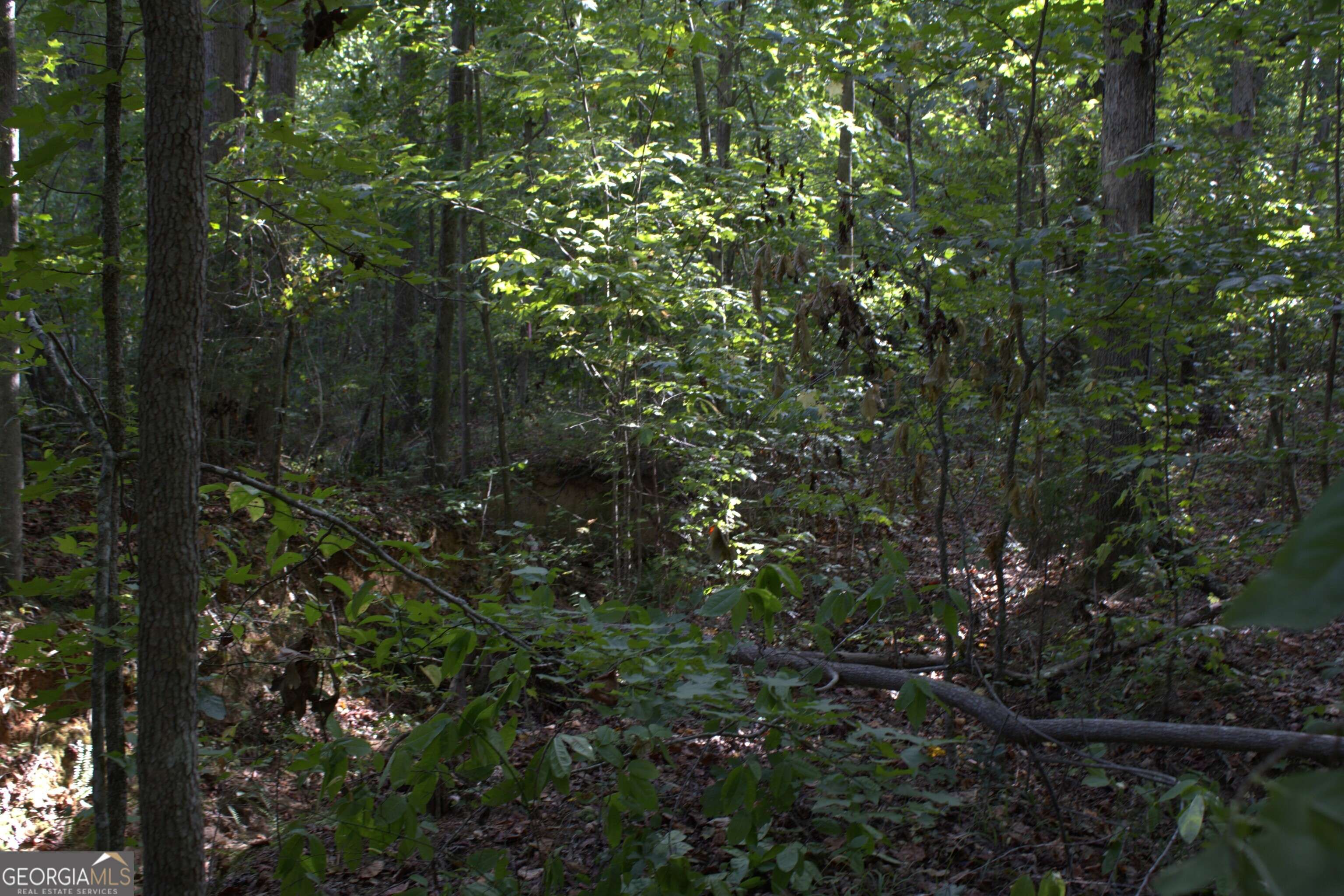 Hartwell, GA 30643,243 North Point CIR