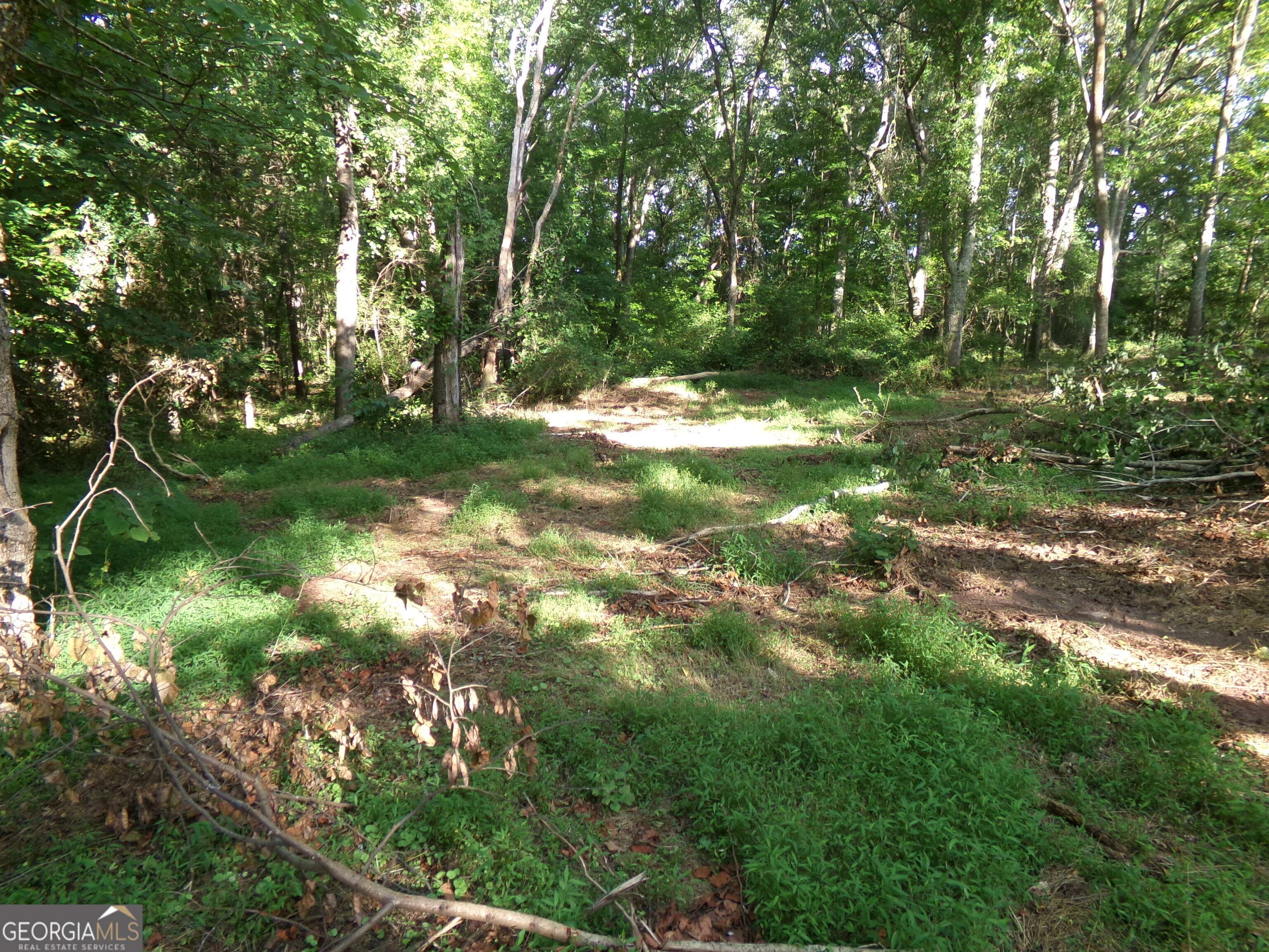 Covington, GA 30014,26 ACRES PJ RD E