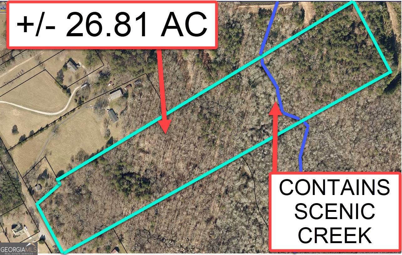 Covington, GA 30014,26 ACRES PJ RD E