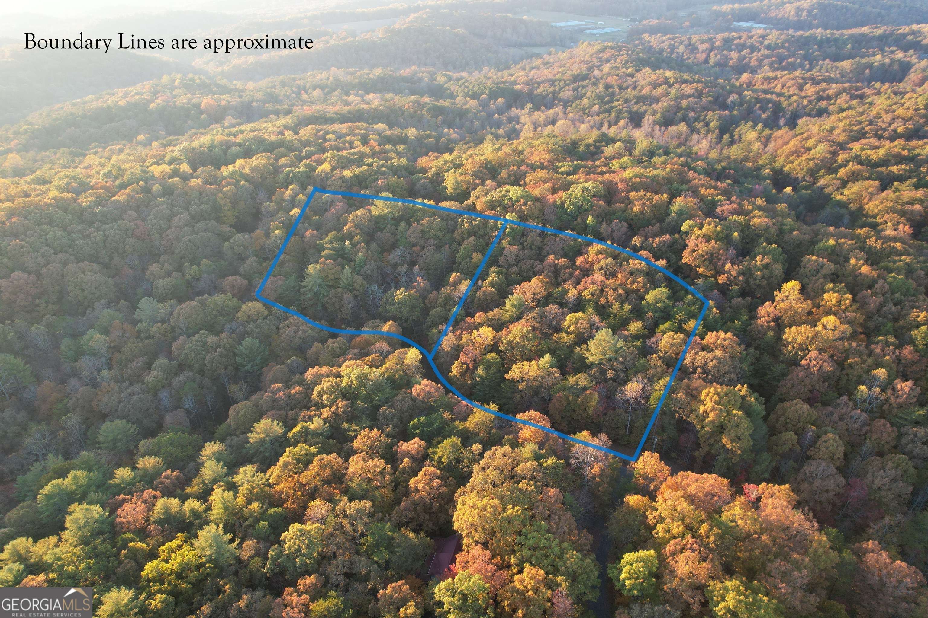 Ellijay, GA 30536,LT 51, 53 Squirrel Hunting RD