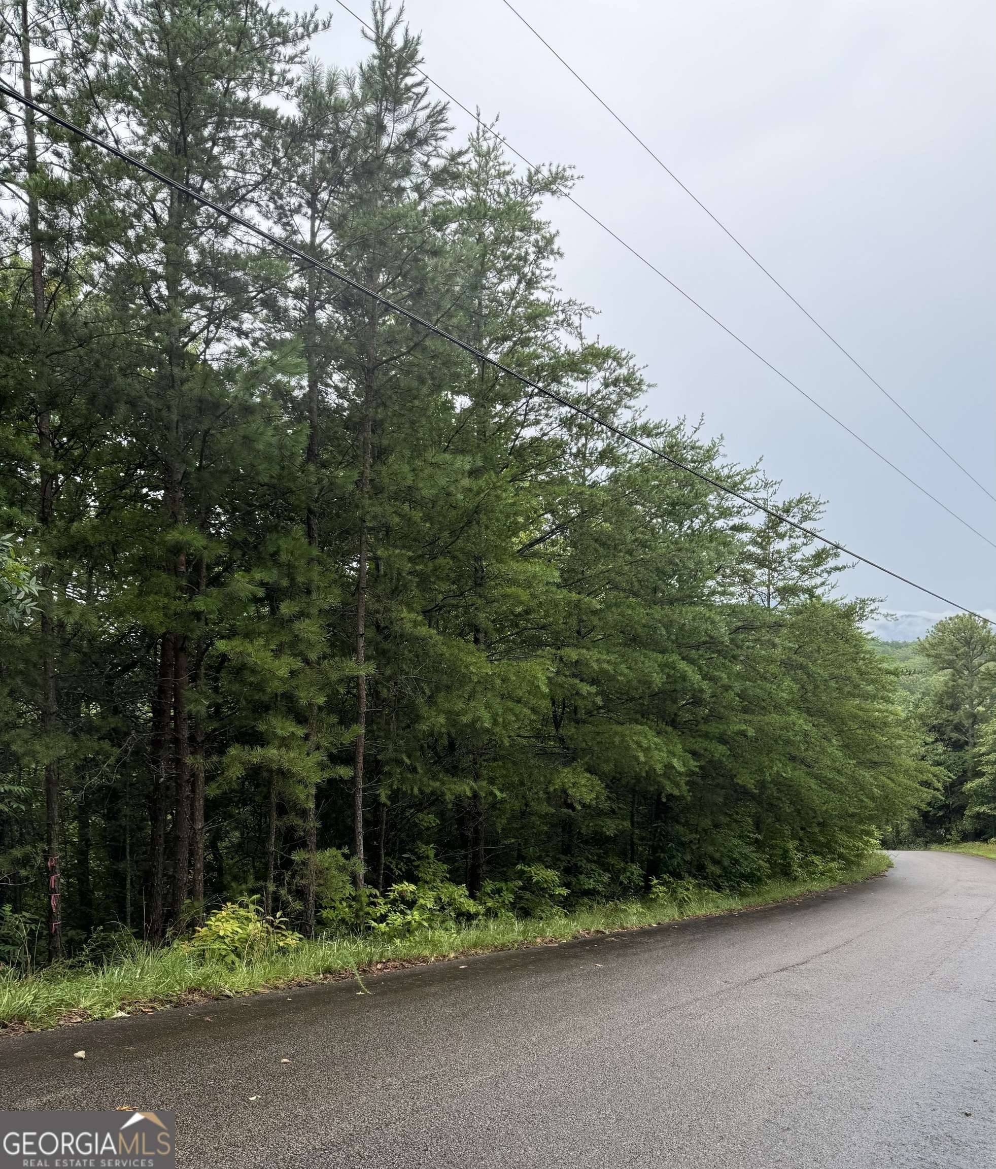 Cleveland, GA 30528,LOT 37 Eagle Talon Trail