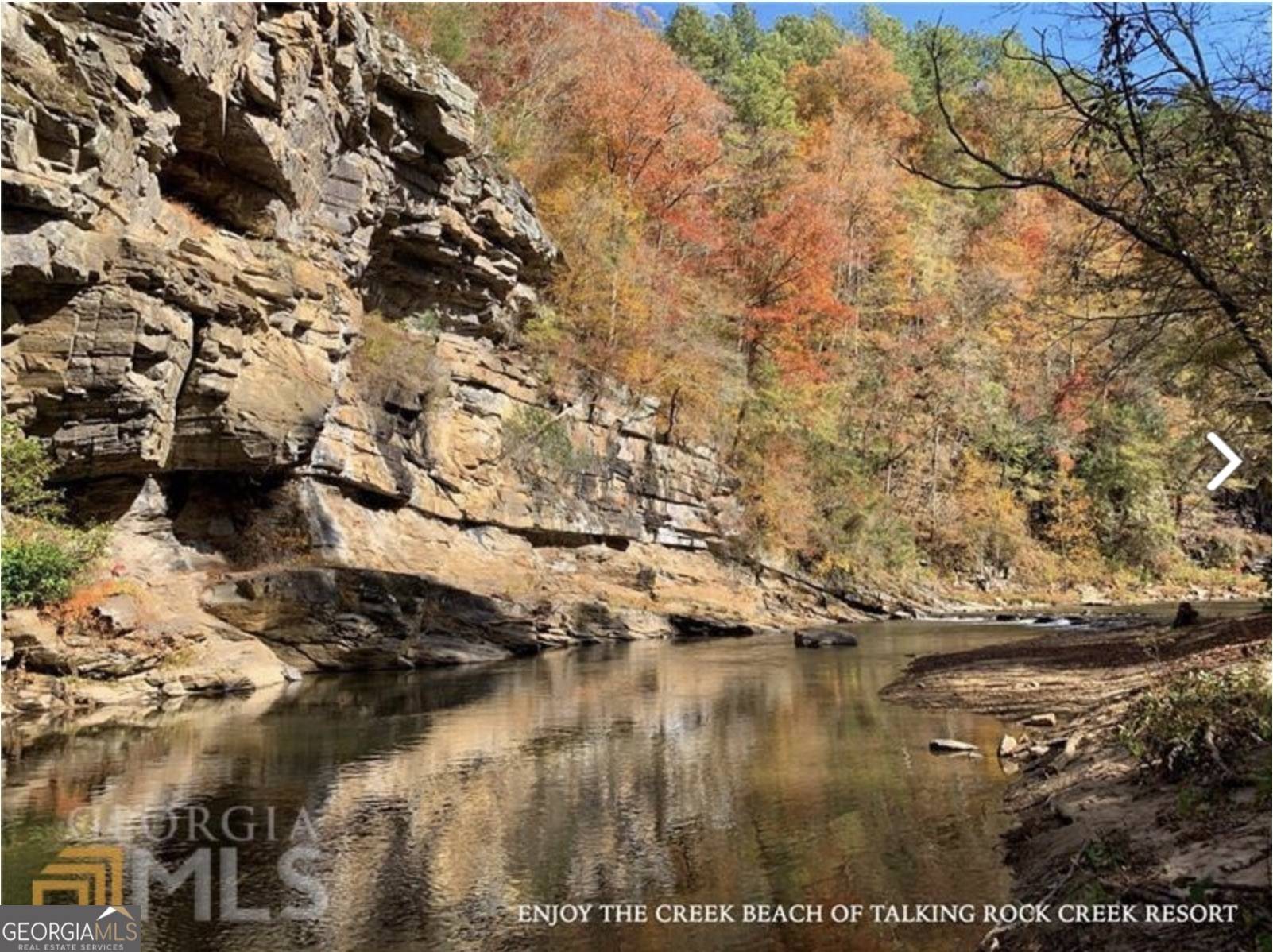 Ranger, GA 30734,945 Longbranch DR