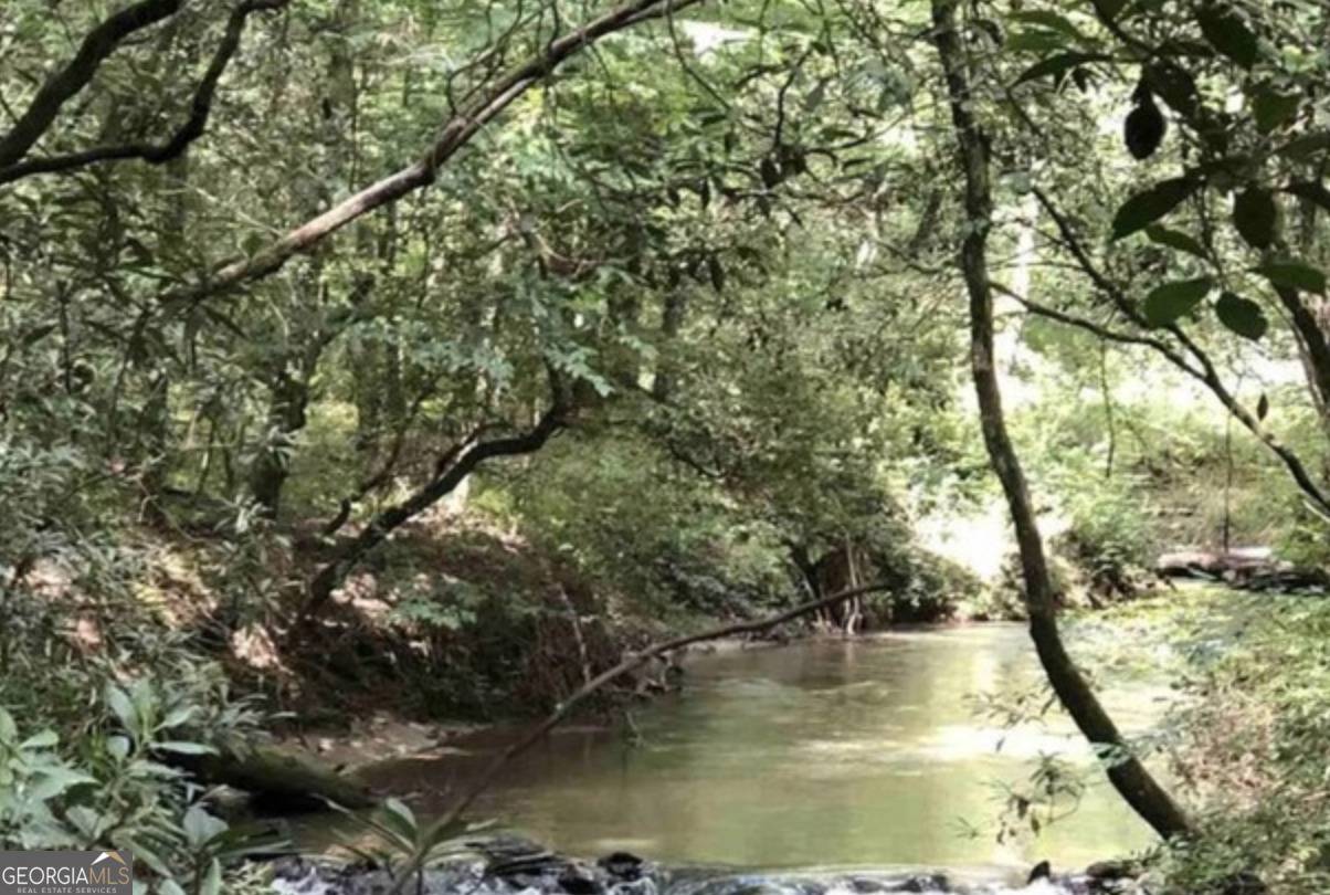 Cleveland, GA 30528,0 Dean Mountain RD