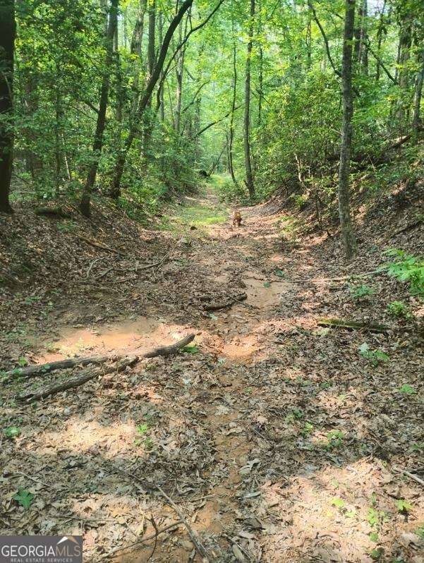 Ellijay, GA 30536,11.12 AC Lowman RD #156