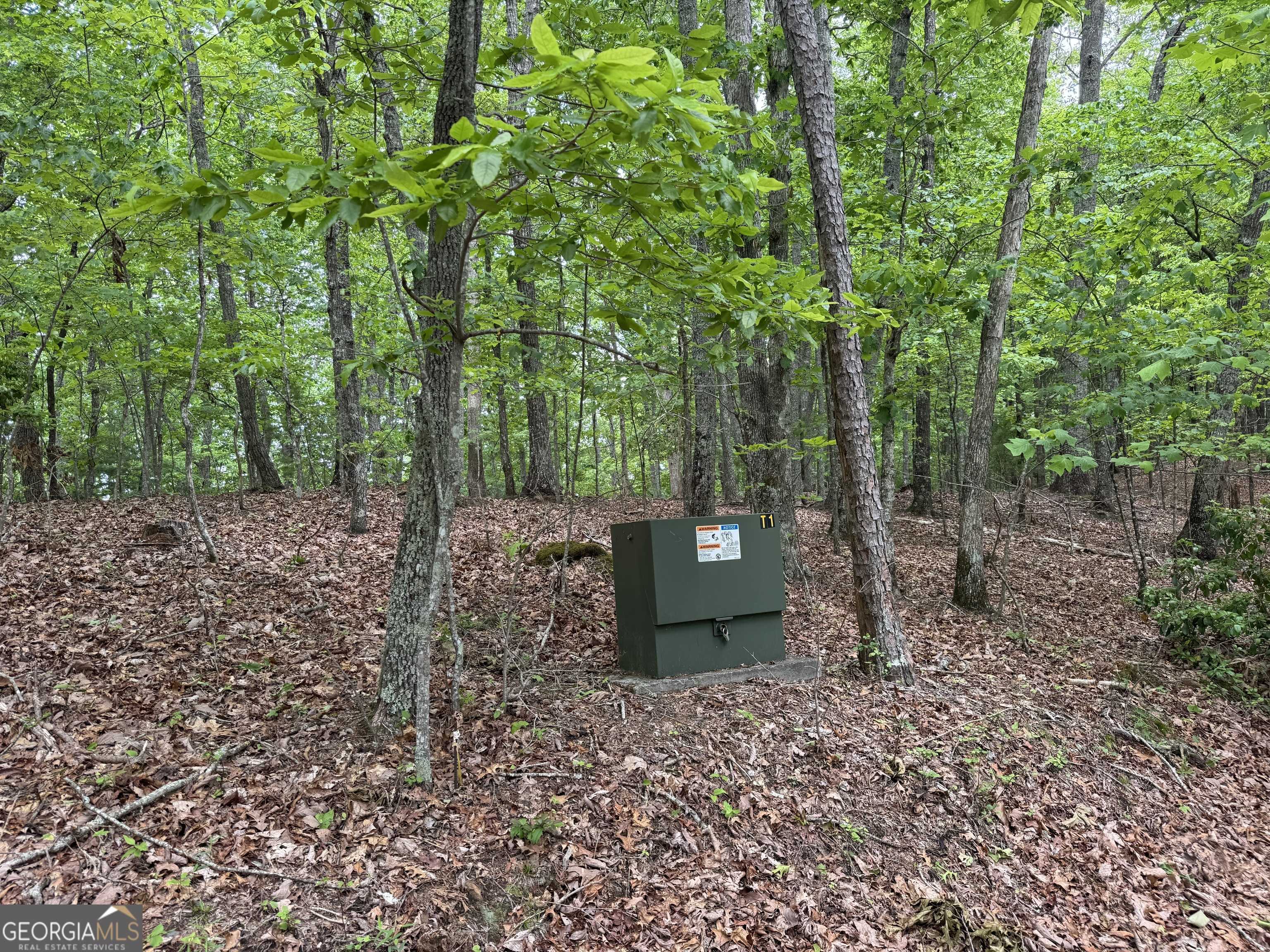 Young Harris, GA 30582,0 Royal Oaks Trail