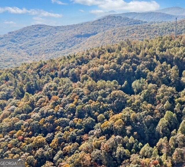 Jasper, GA 30143,LOT 02 Upper Sassafras Pkwy