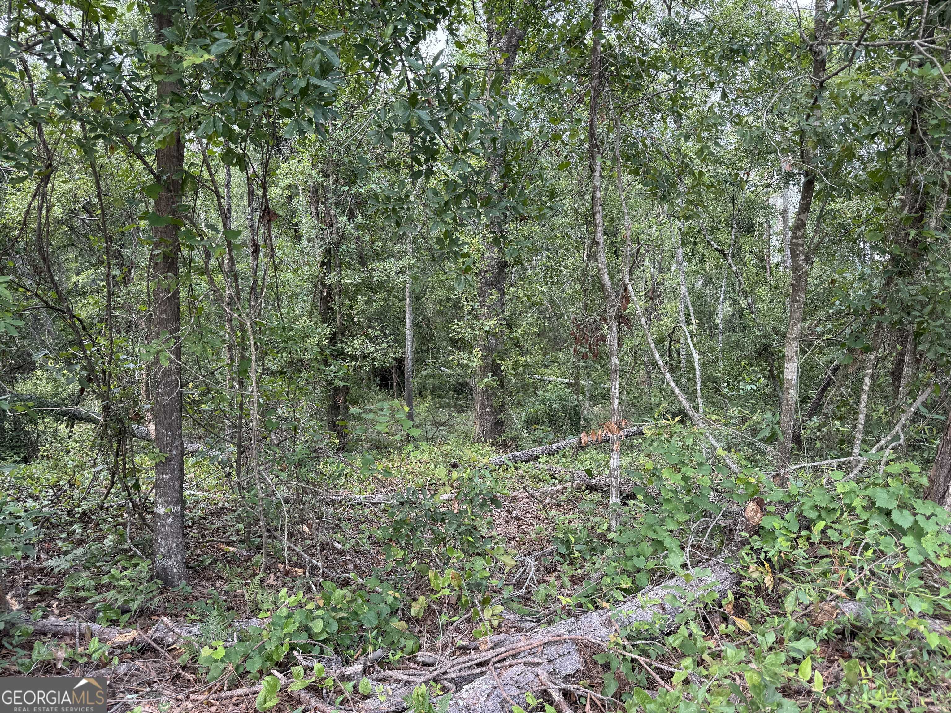 Lyons, GA 30436,6.80 AC Scarlet RD