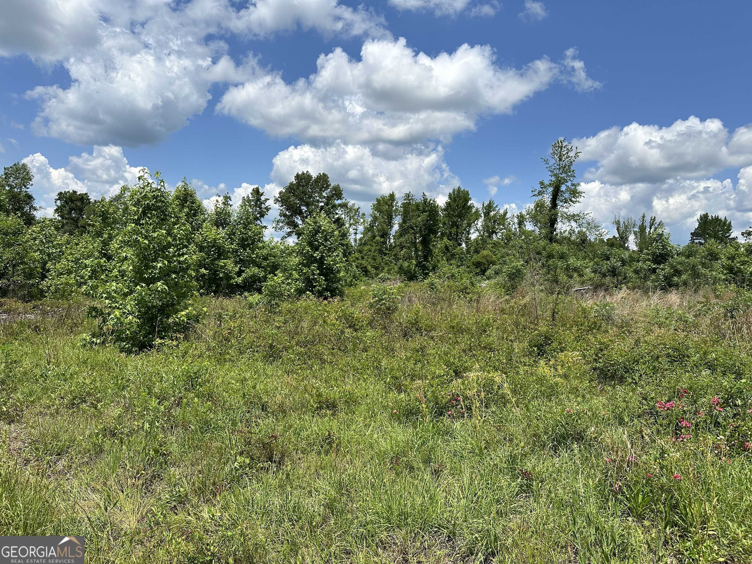 Dublin, GA 31021,LOT 8 Highway 19