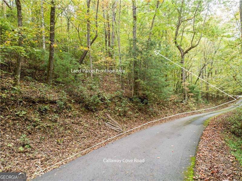 Hiawassee, GA 30546,0 Calloway Cove