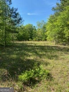 Kite, GA 31049,0 Cow Ford Bridge RD