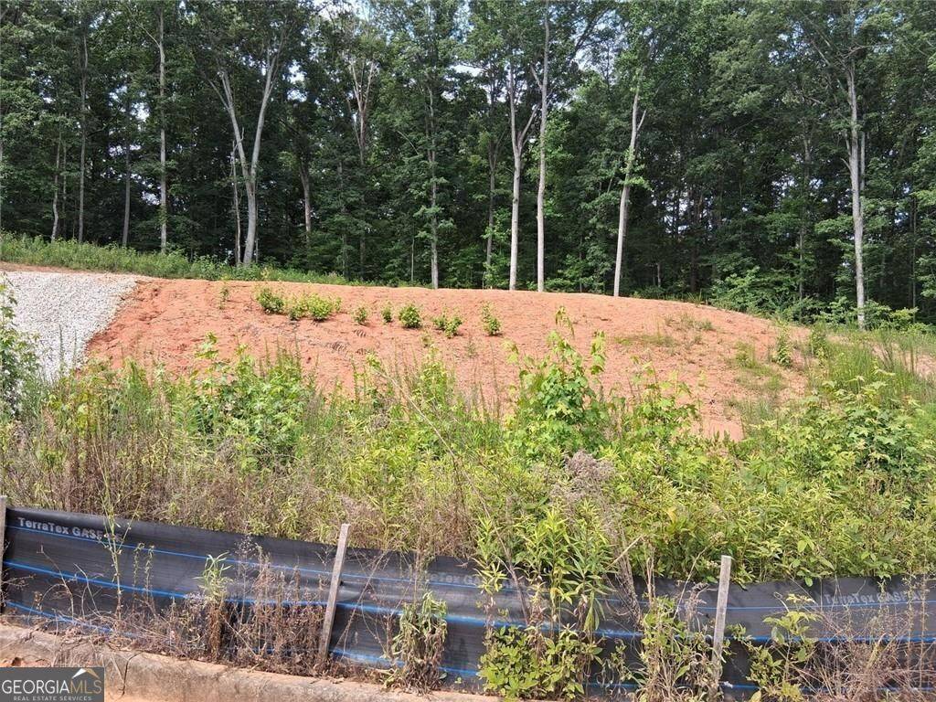 Locust Grove, GA 30248,130 Constance Drive DR