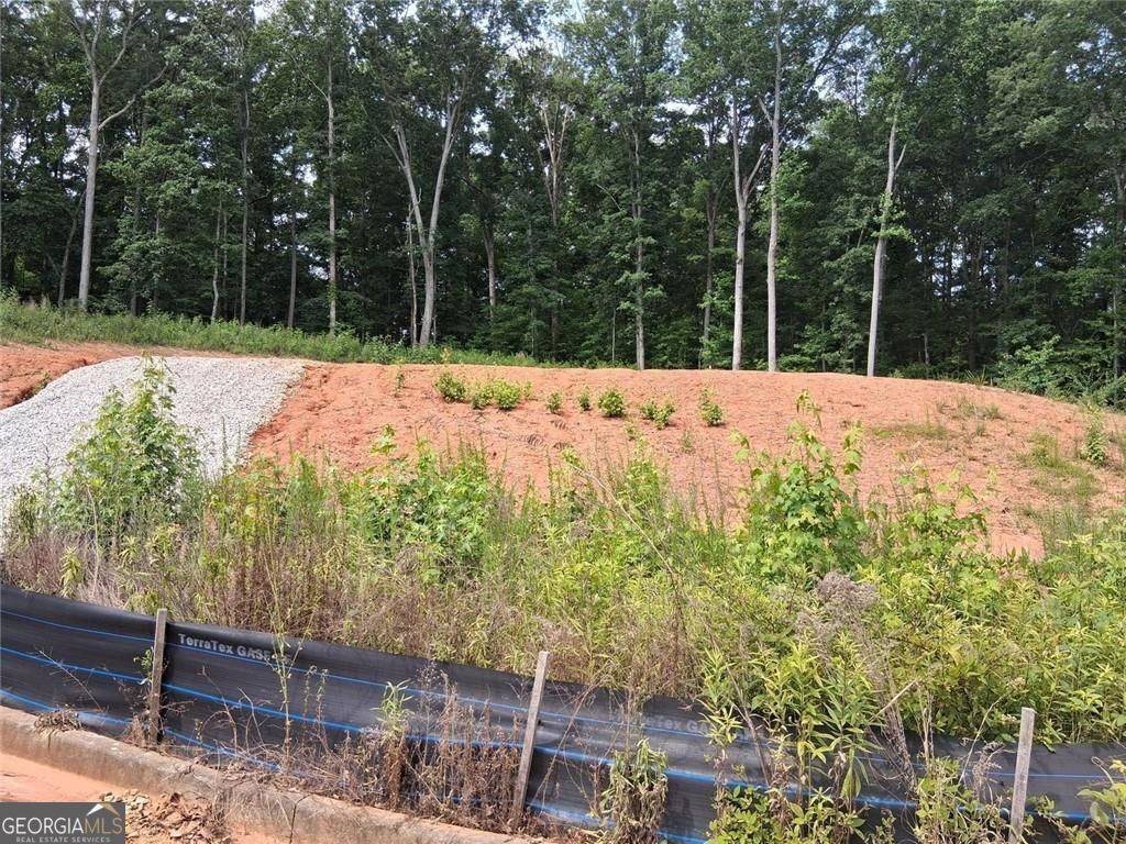 Locust Grove, GA 30248,130 Constance Drive DR