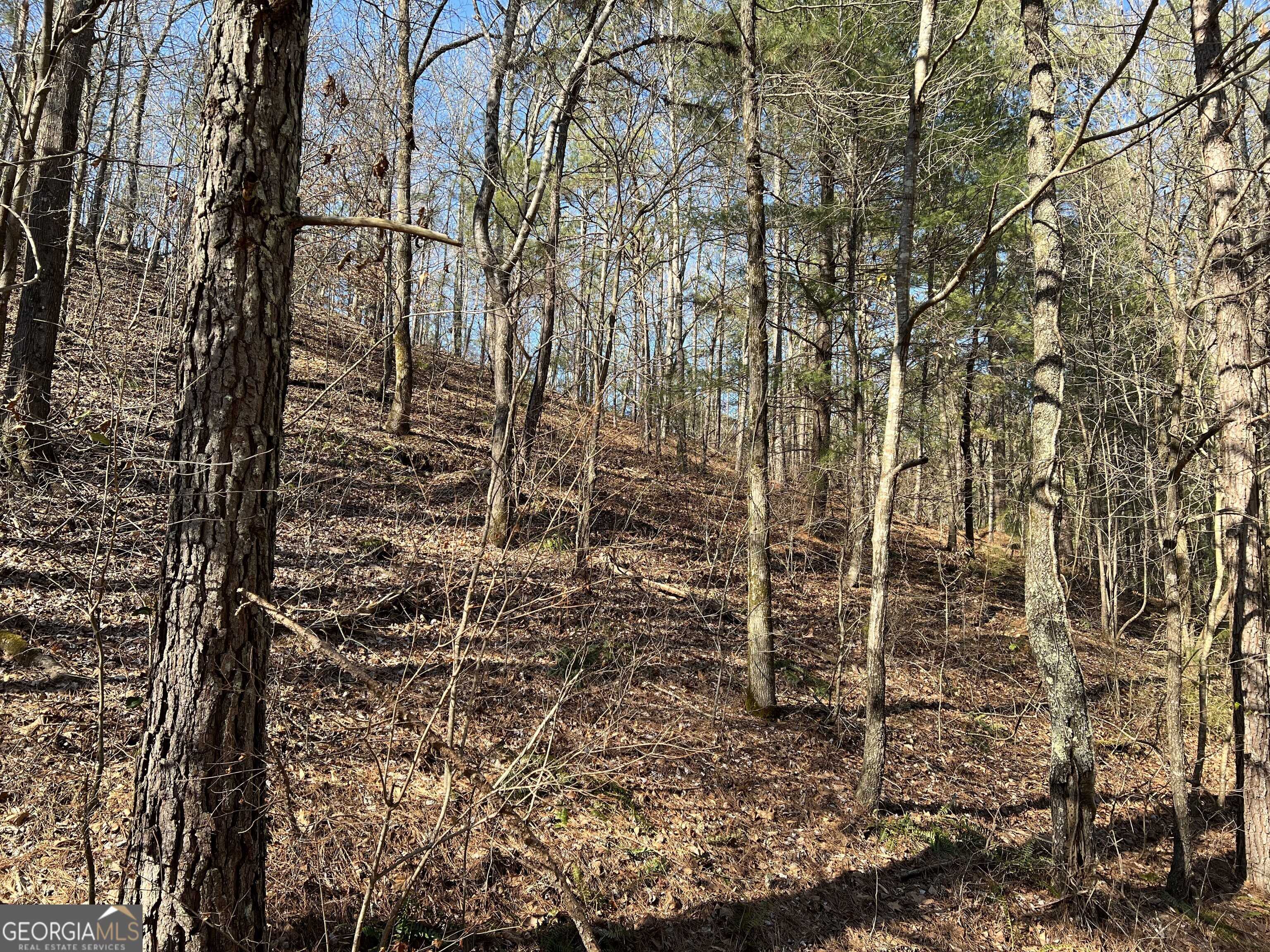 Ranger, GA 30734,LOT 821 Monody LN