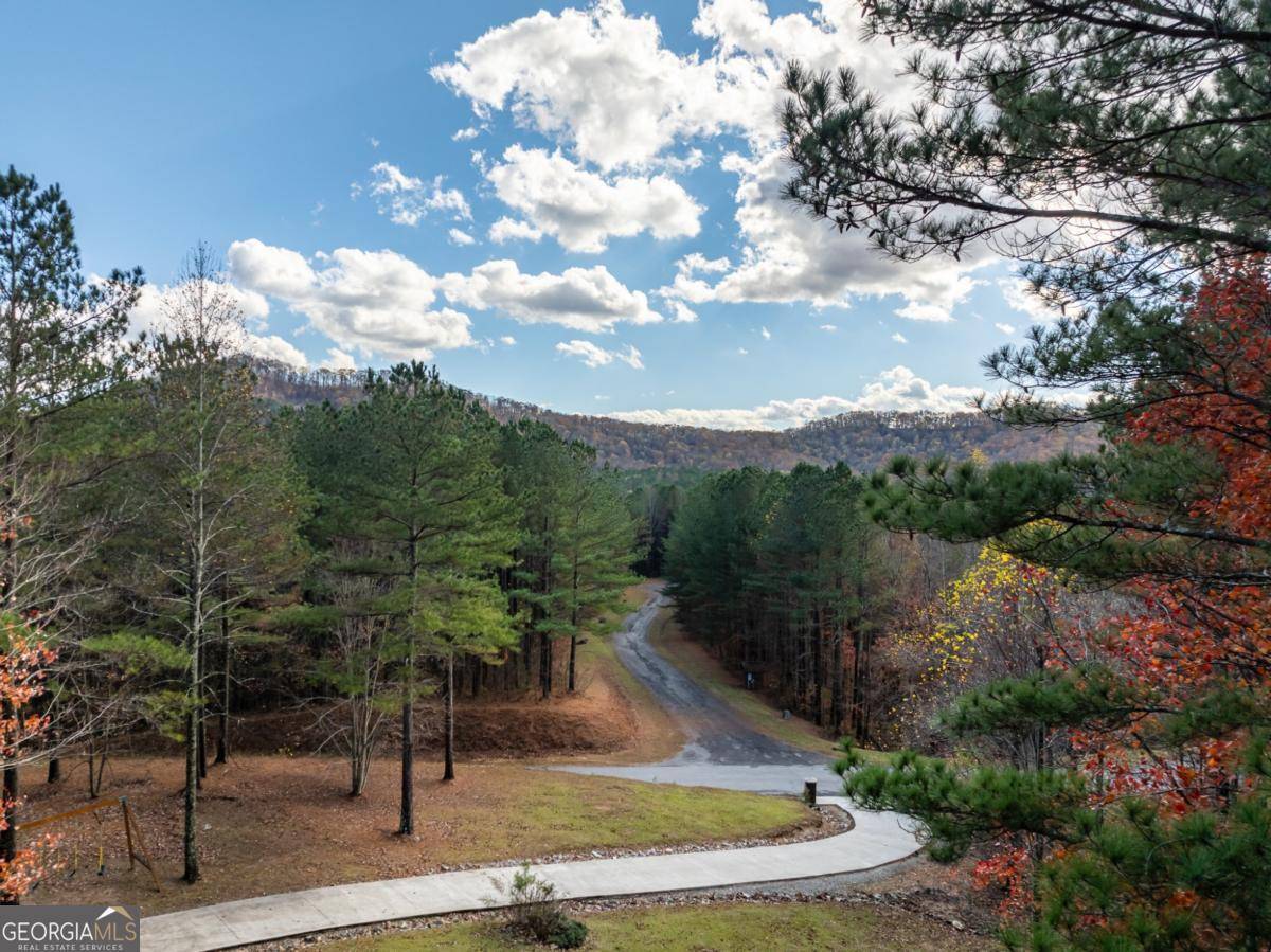 Ellijay, GA 30536,270 Black Bear Ridge RD