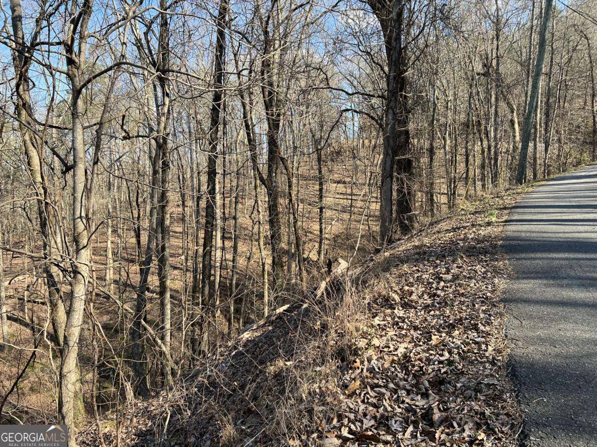 Ranger, GA 30734,LOT 326 Adair DR