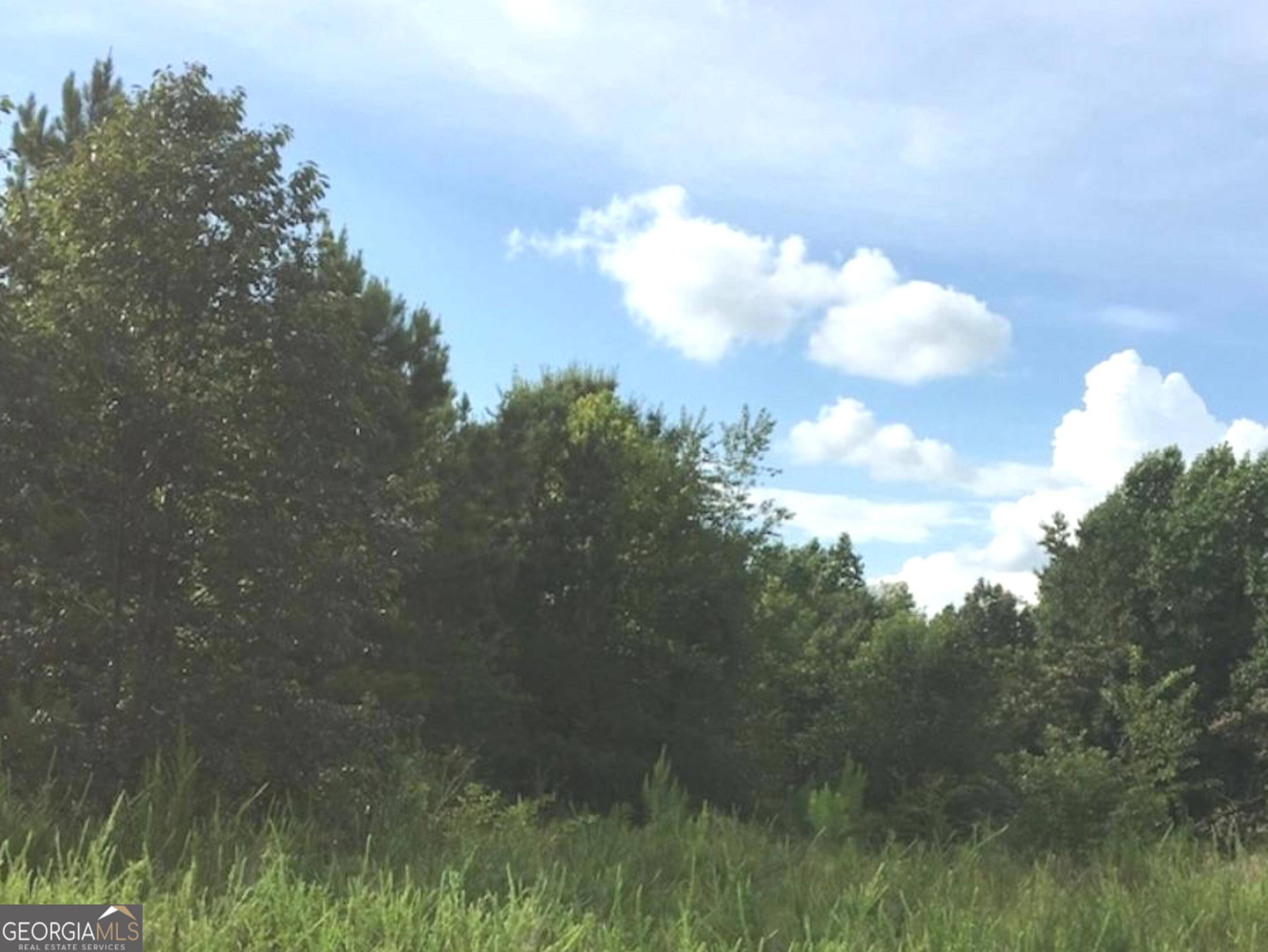 Thomson, GA 30824,0 Starr Hinson RD NW