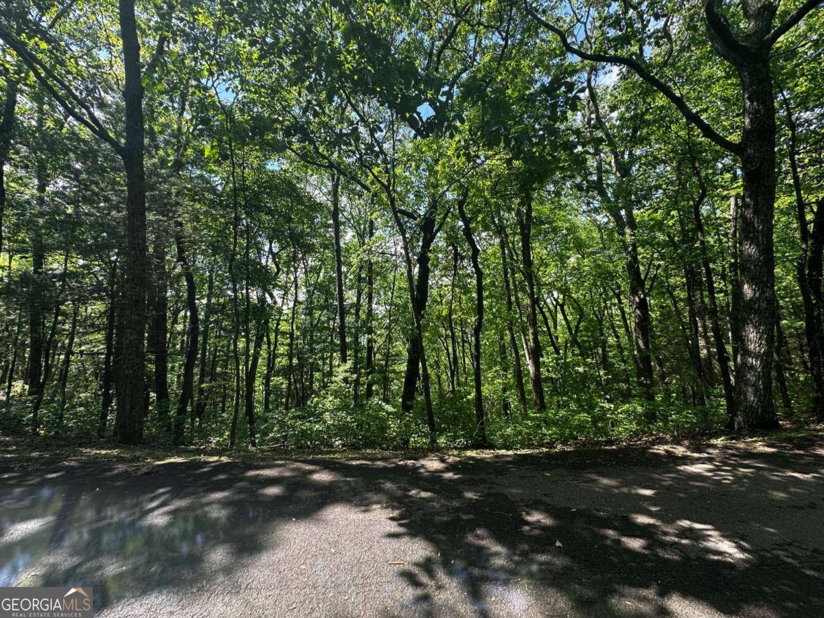 Ellijay, GA 30540,LOT 14 Oceola DR