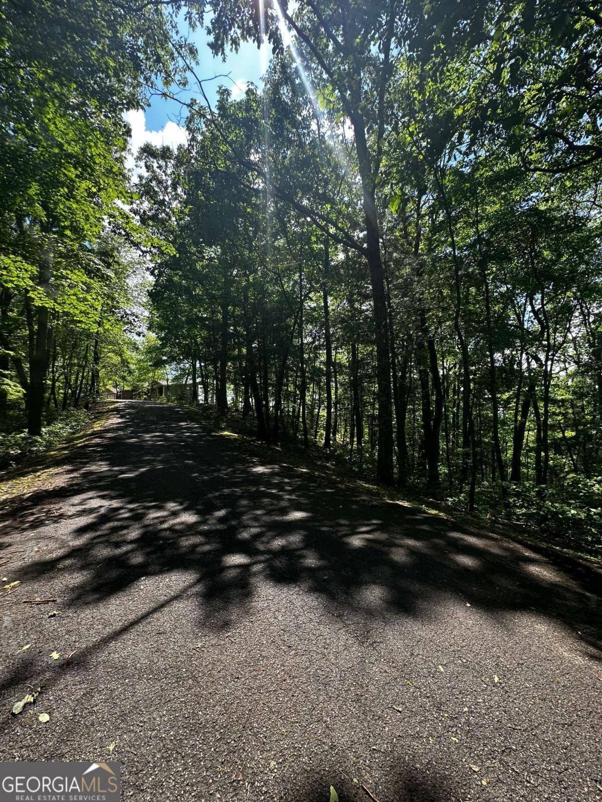 Ellijay, GA 30540,LOT 14 Oceola DR