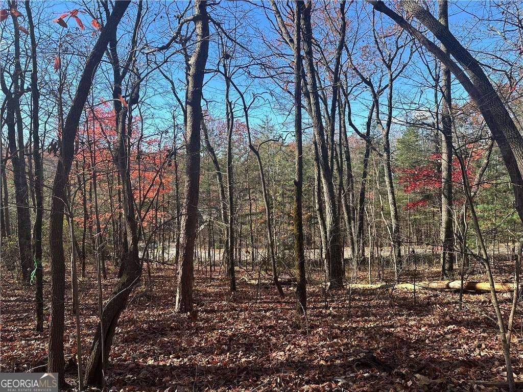 Ellijay, GA 30536,58 St Andrews WAY