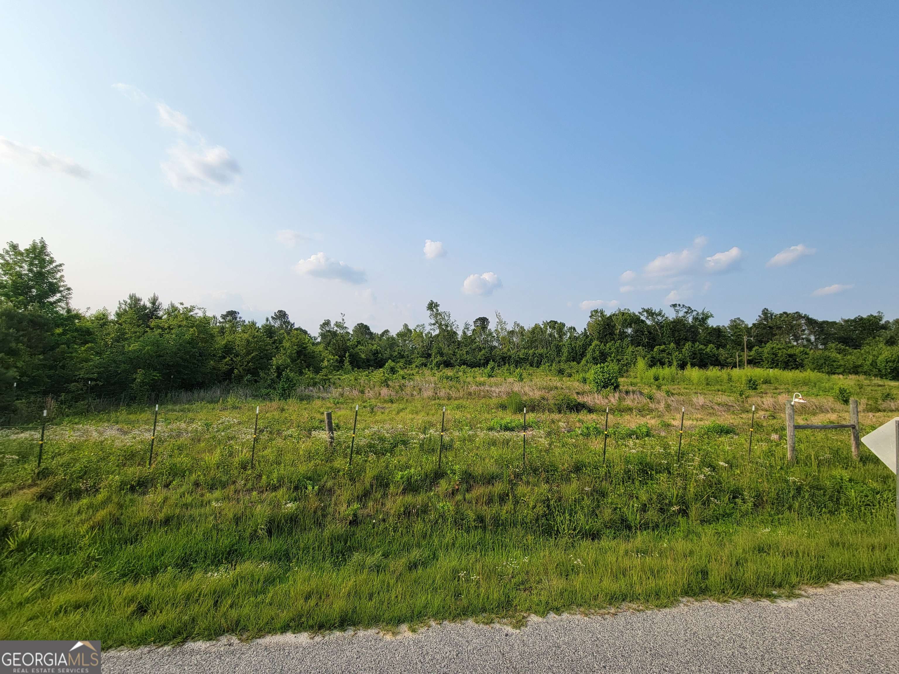 Midville, GA 30441,288 Old Wadley RD