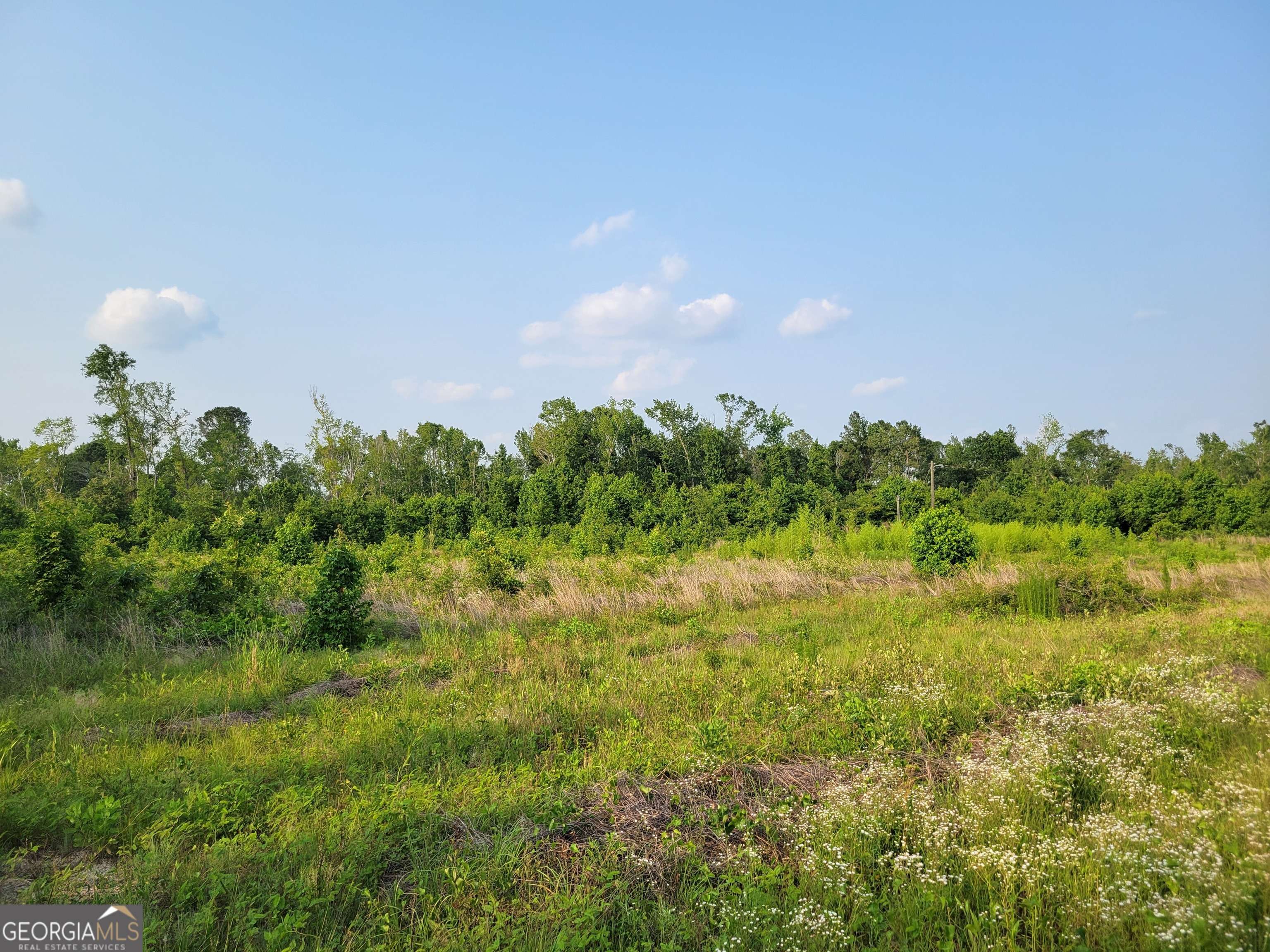 Midville, GA 30441,288 Old Wadley RD