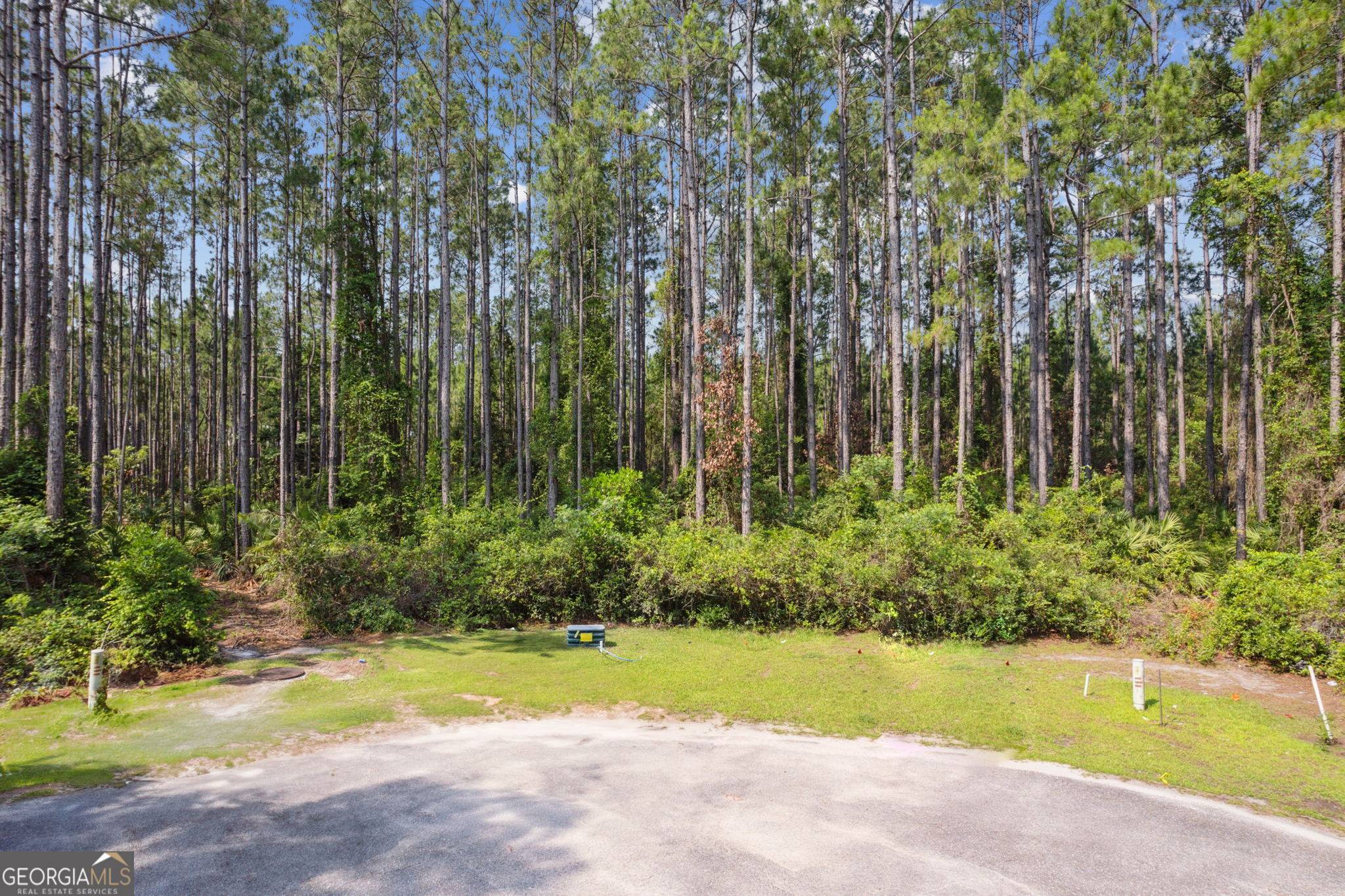 St. Marys, GA 31558,116 Wild Horse CT