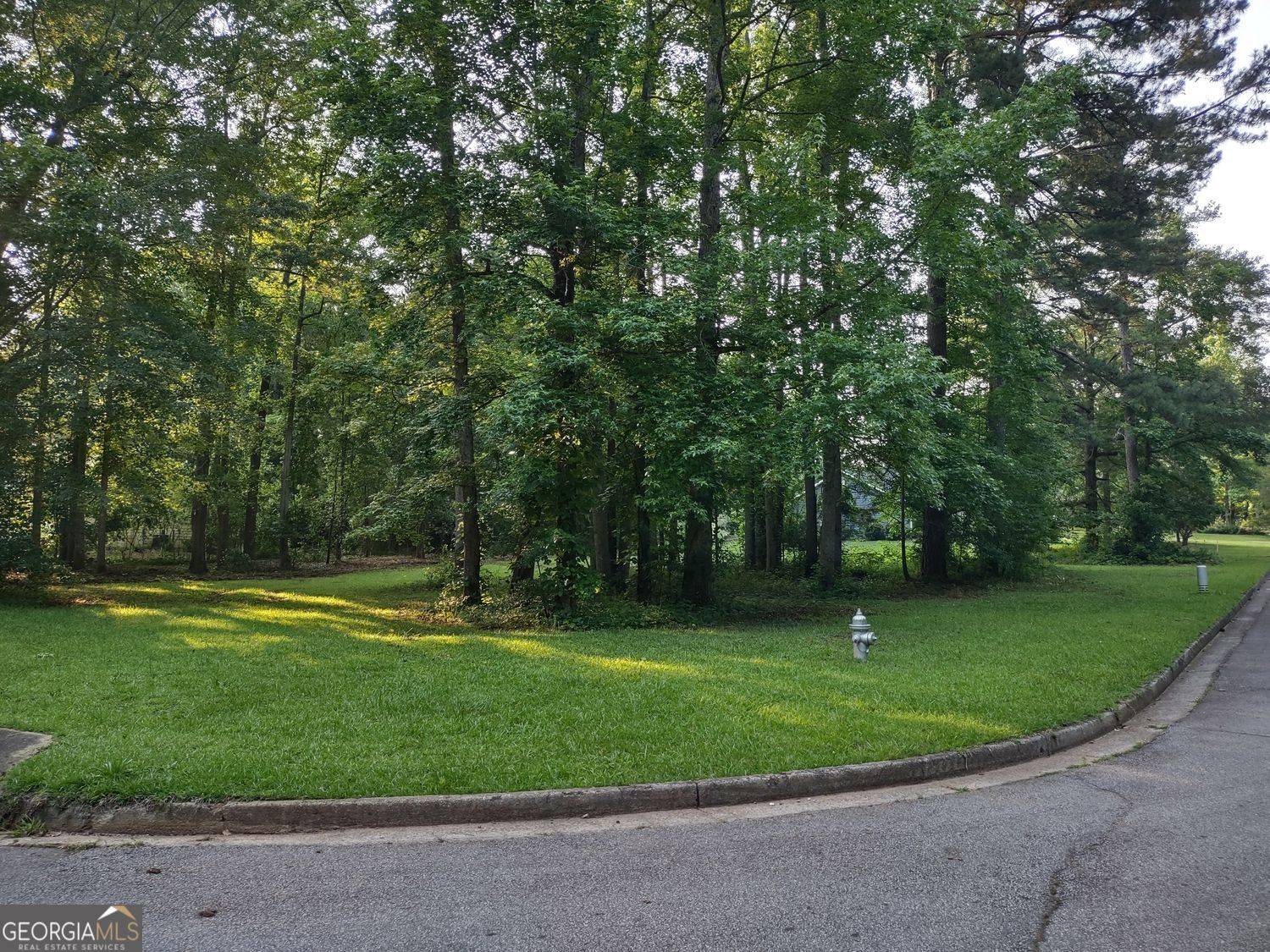 Mcdonough, GA 30252,0 Pine Tree DR #LOT 39