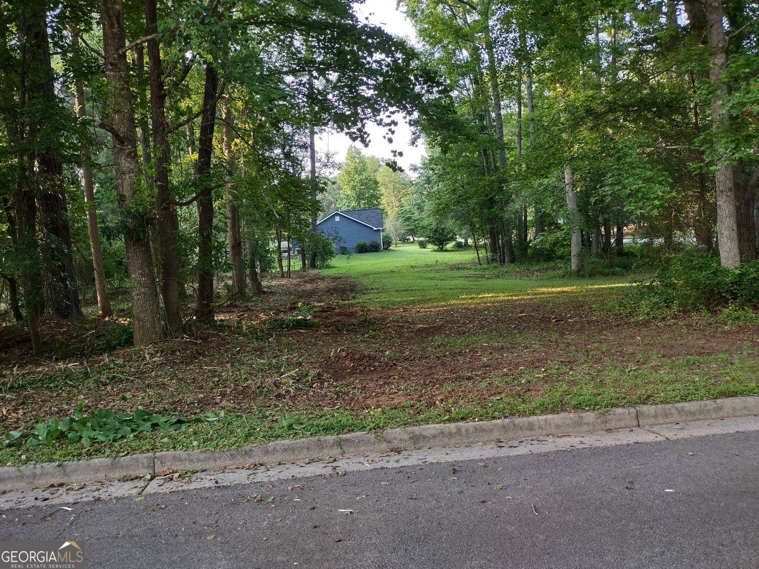 Mcdonough, GA 30252,0 Pine Tree DR #LOT 39