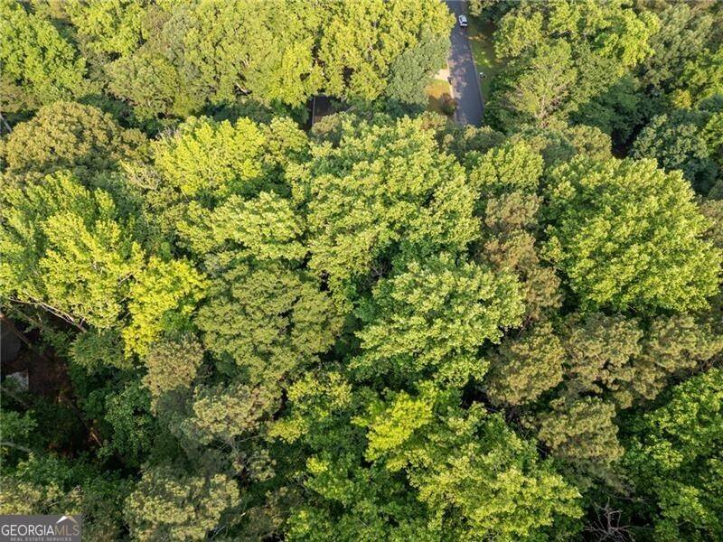 Powder Springs, GA 30127,0 Crabapple LN NW