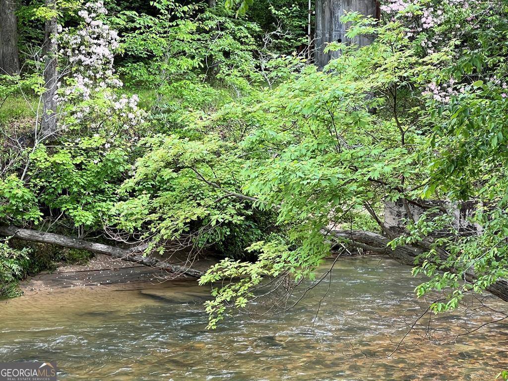 Blairsville, GA 30512,LOT 52 Madeline Way