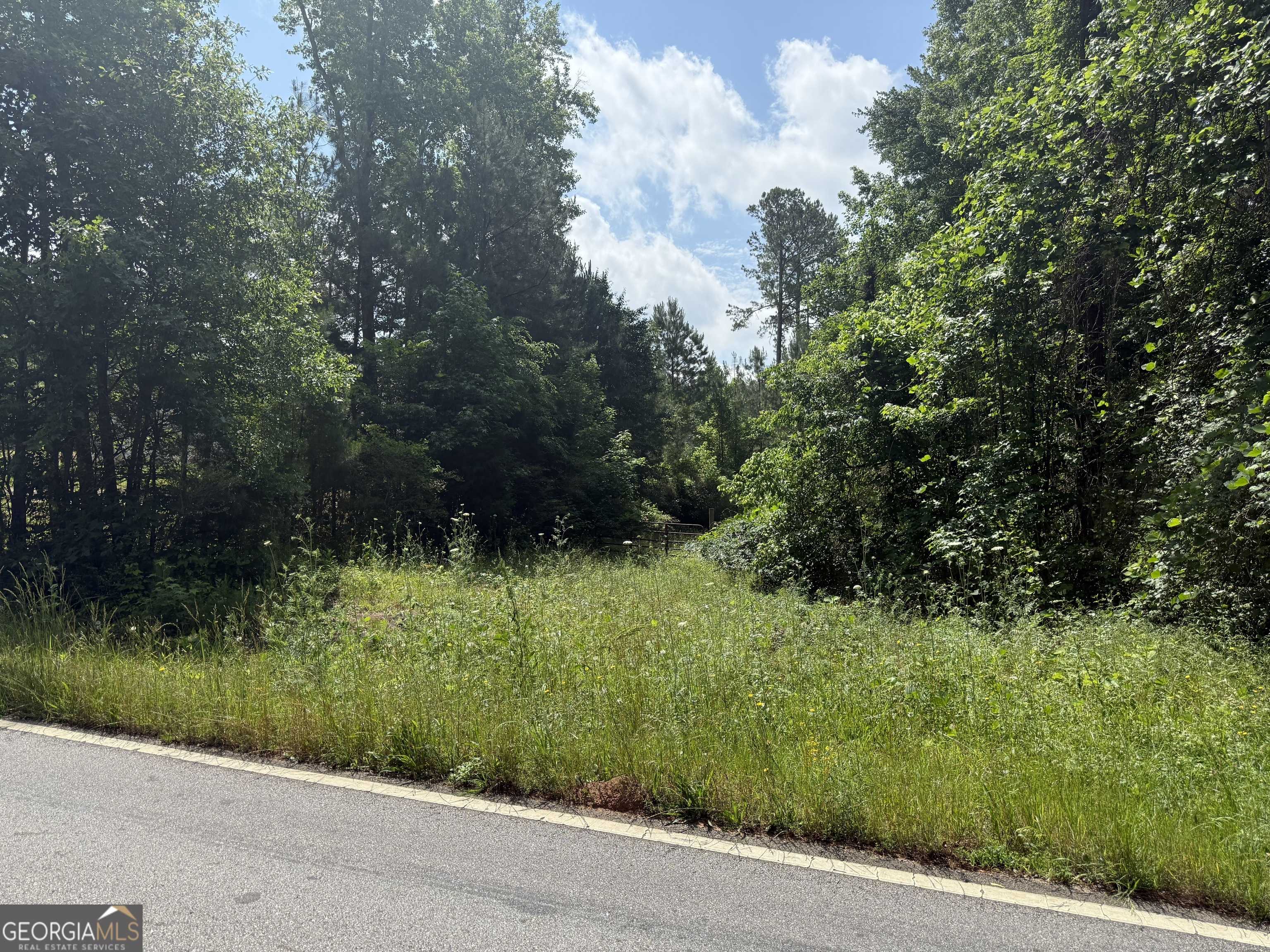 Stockbridge, GA 30281,0 Hemphill Road