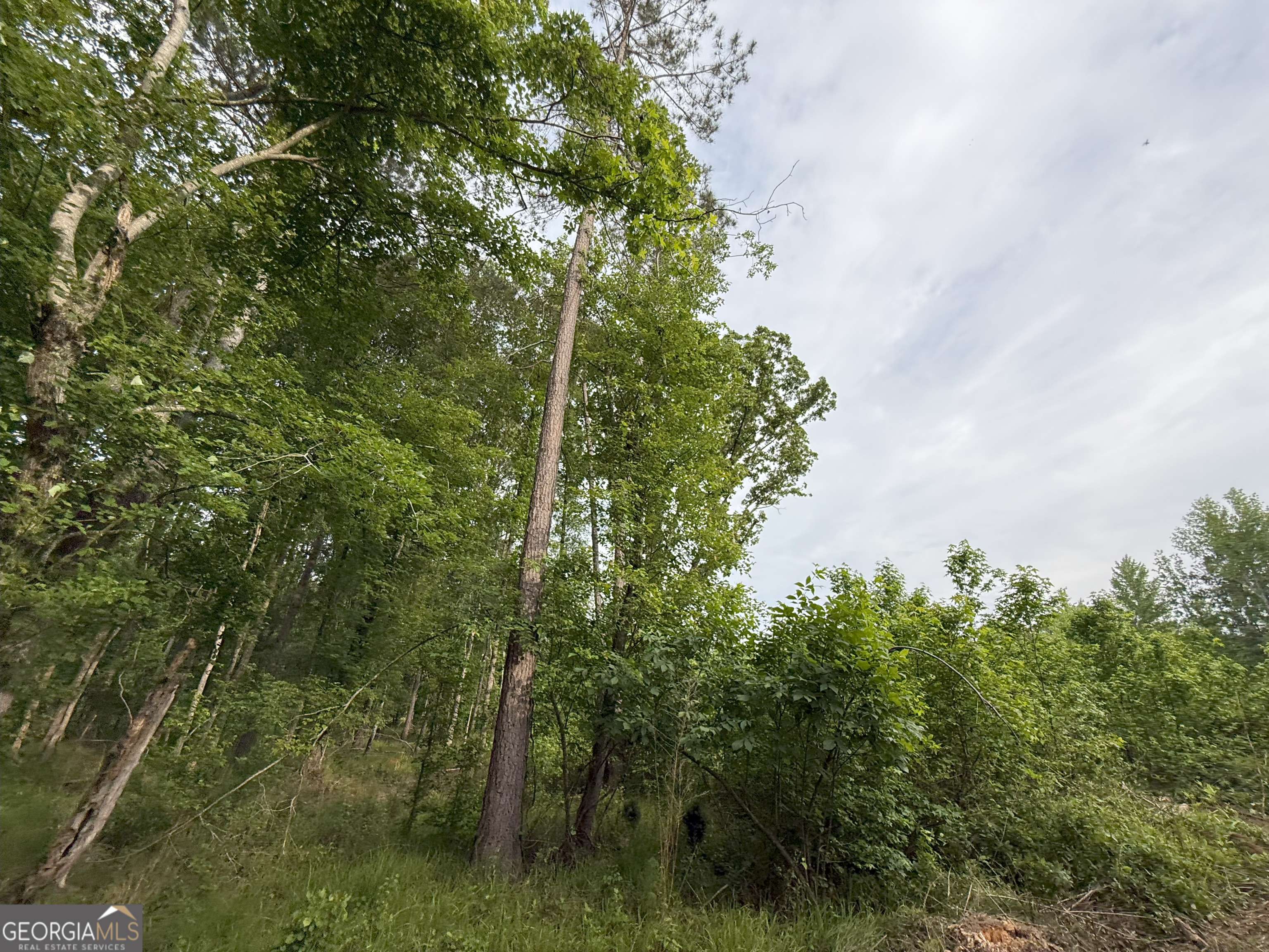 Norwood, GA 30821,7 Norwood Camak RD