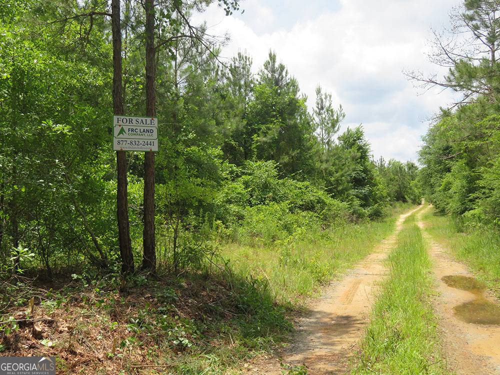 Lumpkin, GA 31815,0 0 Louise Bell Road