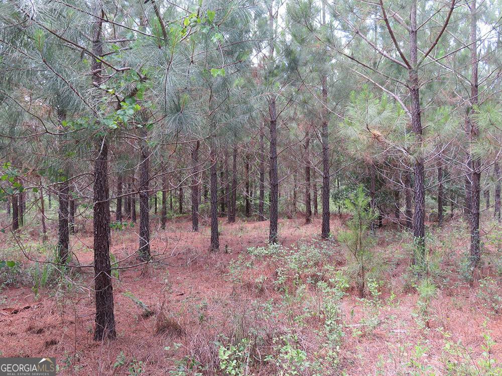 Lumpkin, GA 31815,0 0 Louise Bell Road