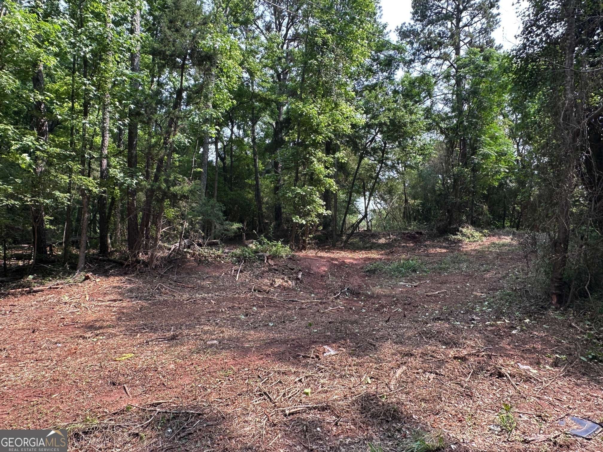 Griffin, GA 30224,481 Swint RD