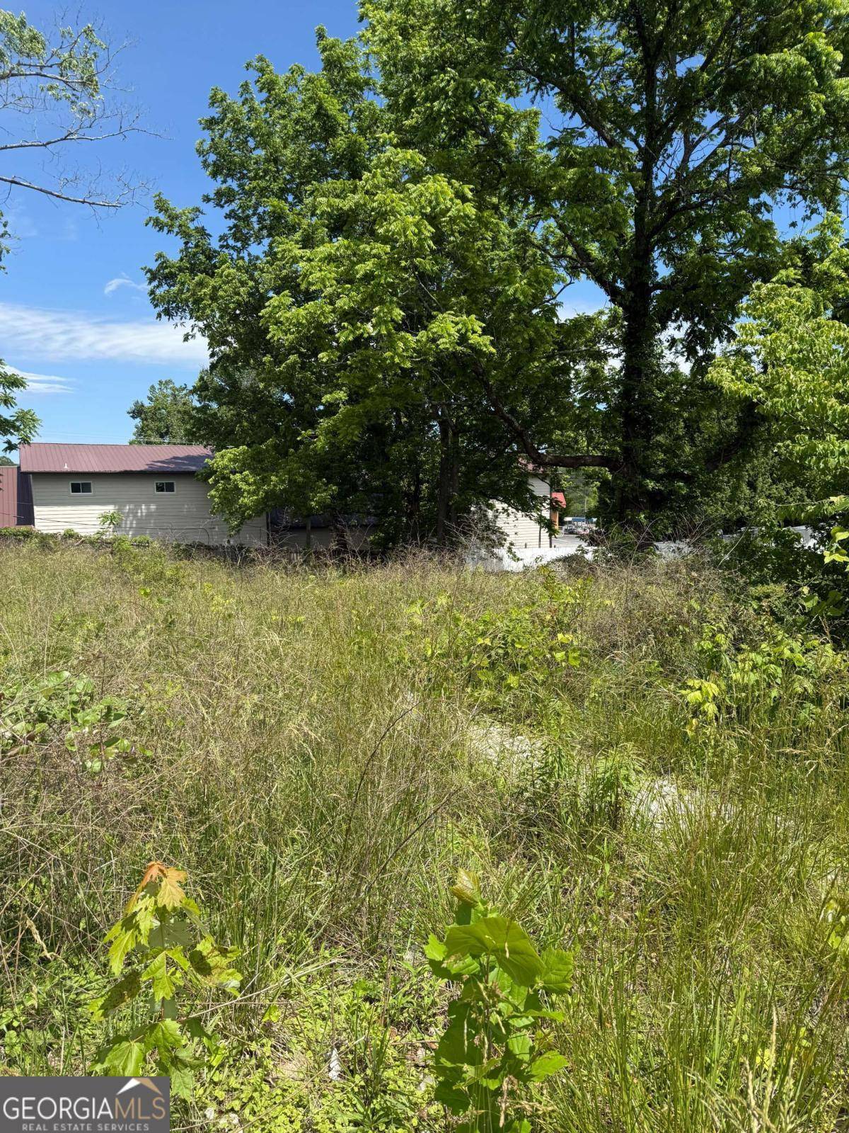 Blue Ridge, GA 30513,LOT 19 E Second ST