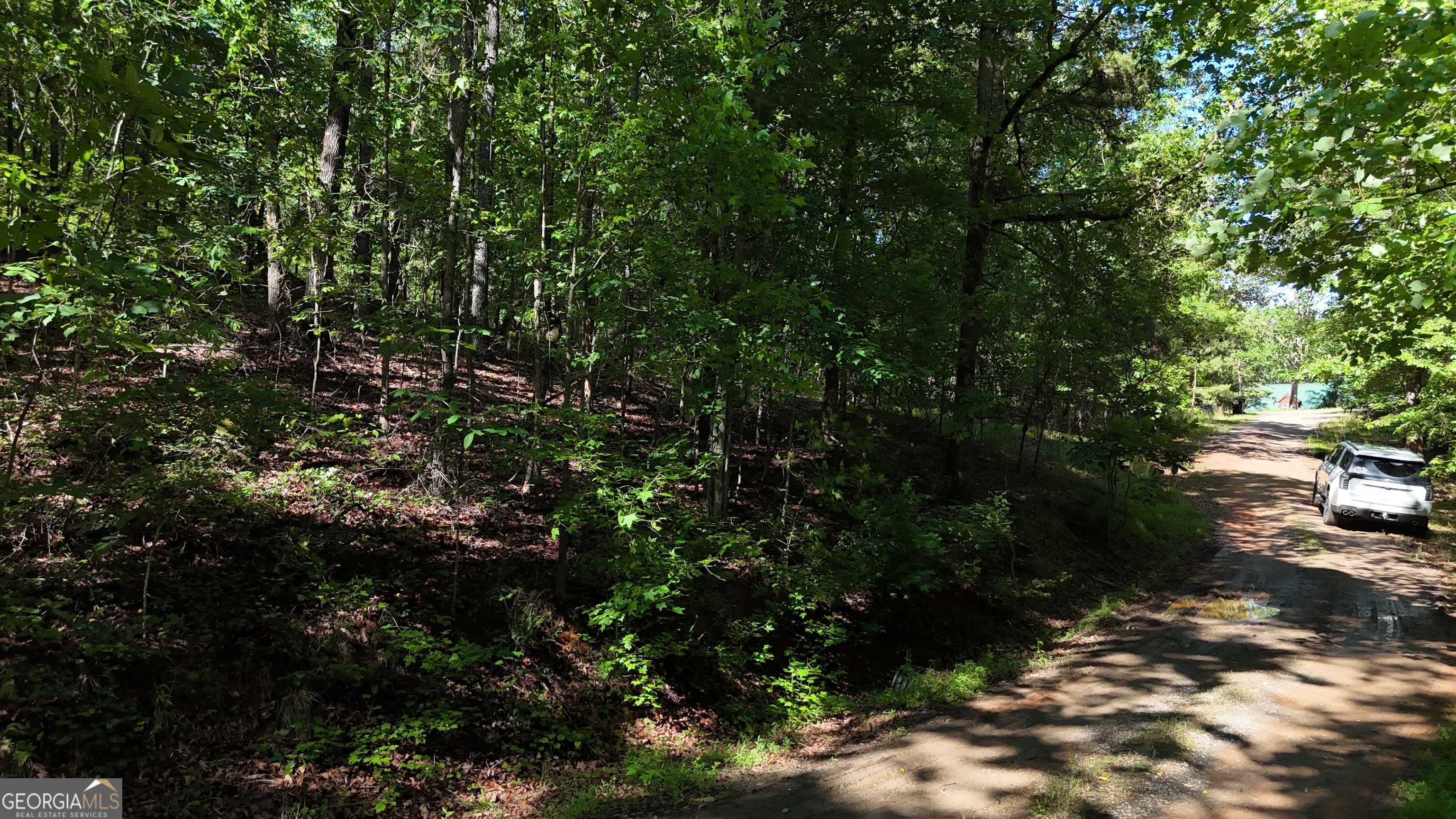 Cleveland, GA 30528,LOT 1 Cherry Ridge LN