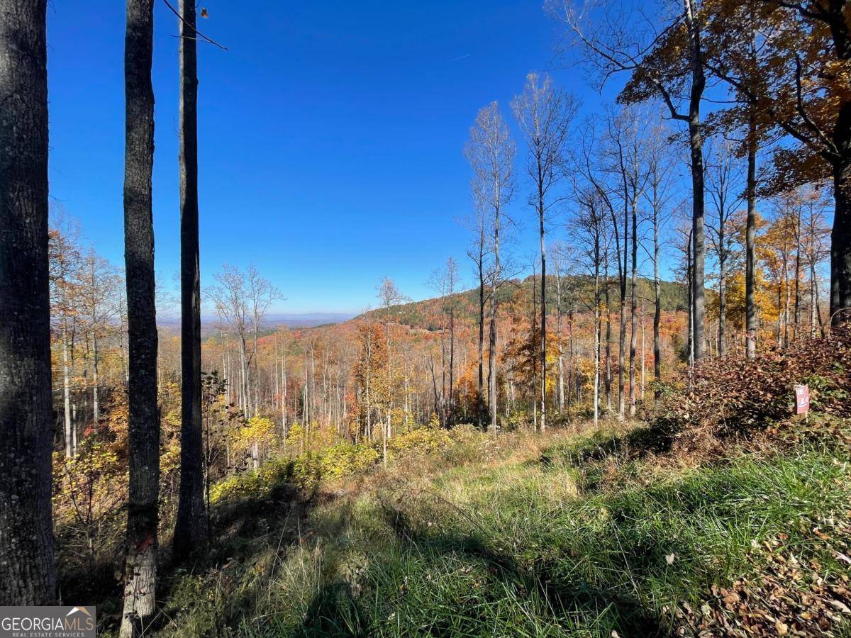 Blairsville, GA 30512,LT185 Thirteen Hundred #185