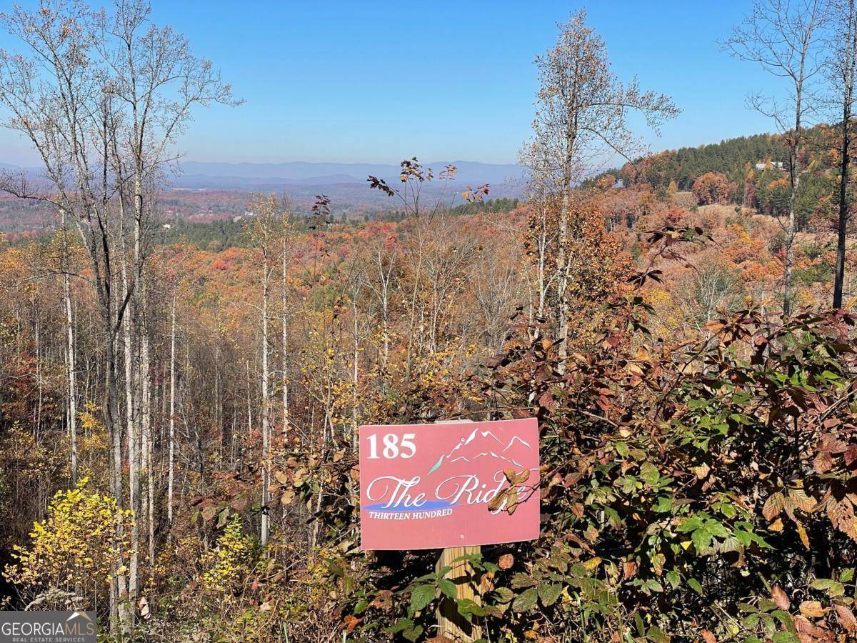 Blairsville, GA 30512,LT185 Thirteen Hundred #185