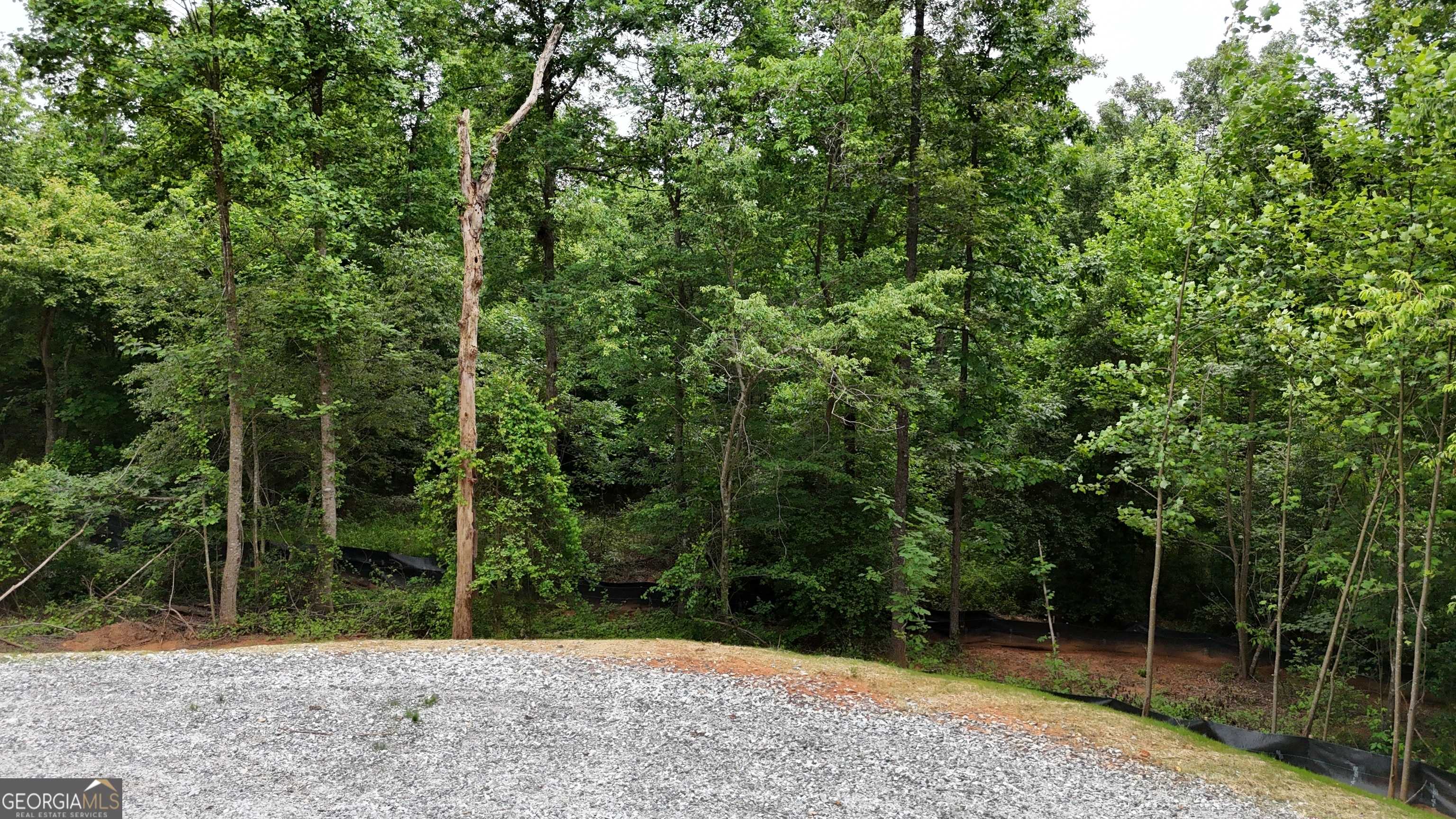 Cornelia, GA 30531,3.18 ACRES Garrison RD