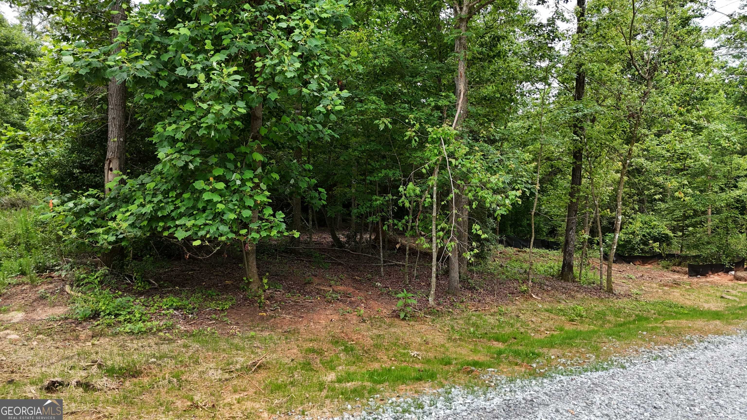 Cornelia, GA 30531,3.18 ACRES Garrison RD