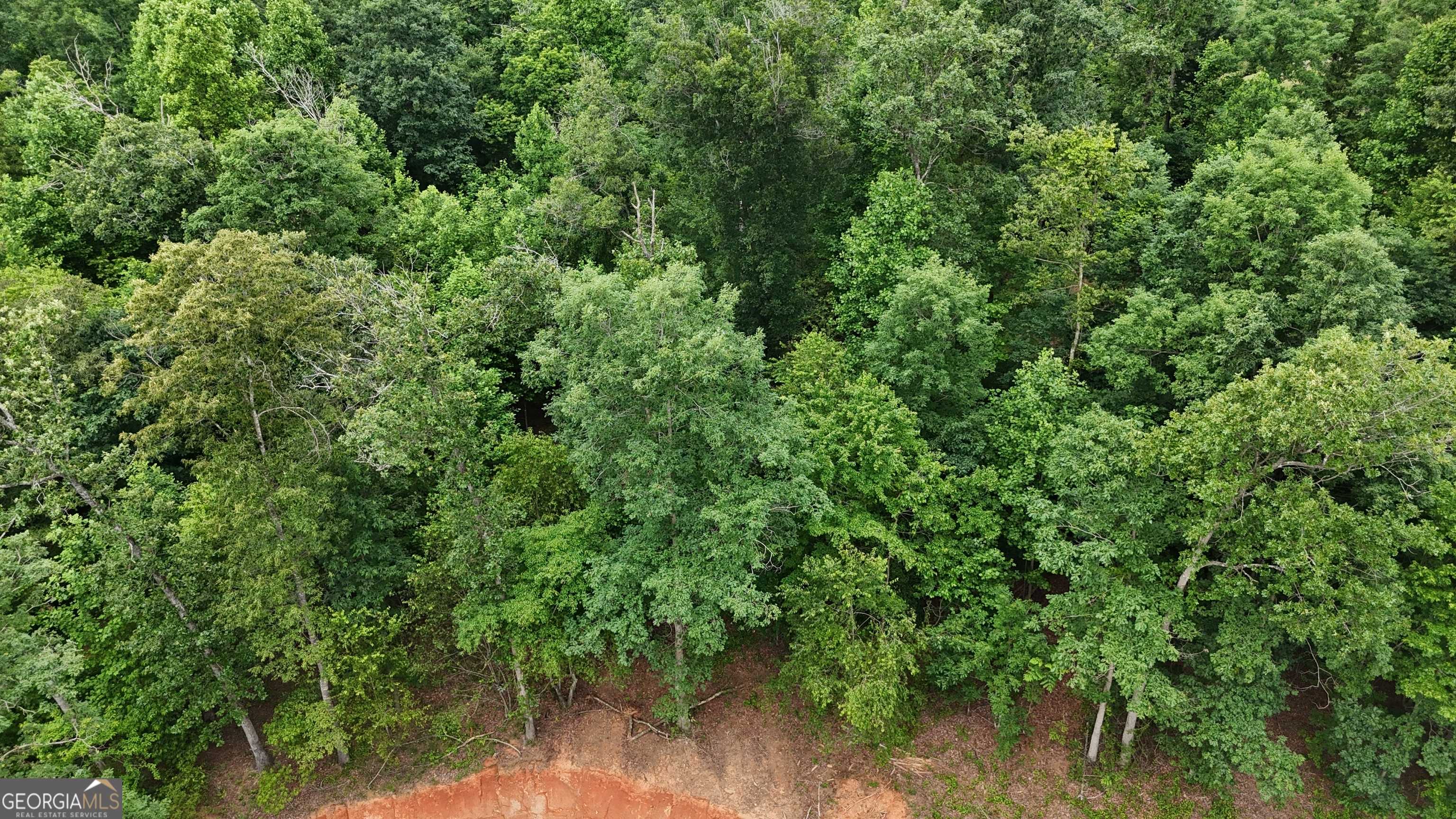 Cornelia, GA 30531,1.86 ACRES Garrison RD