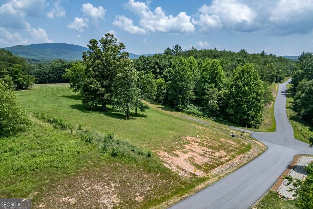 Blairsville, GA 30512,LOT 168 Owen Glen #168